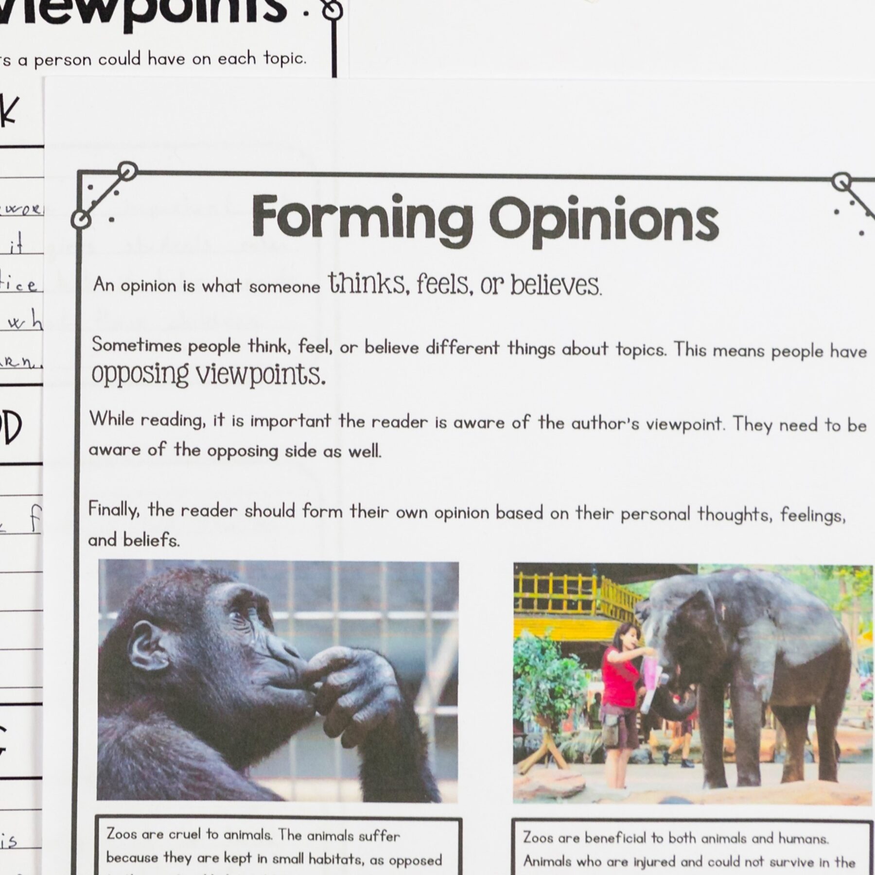 Author's Opinion & Claim 2nd 3rd Florida BEST Standard ELA.2.R.2.4 & ELA.3.R.2.4 - Image 4