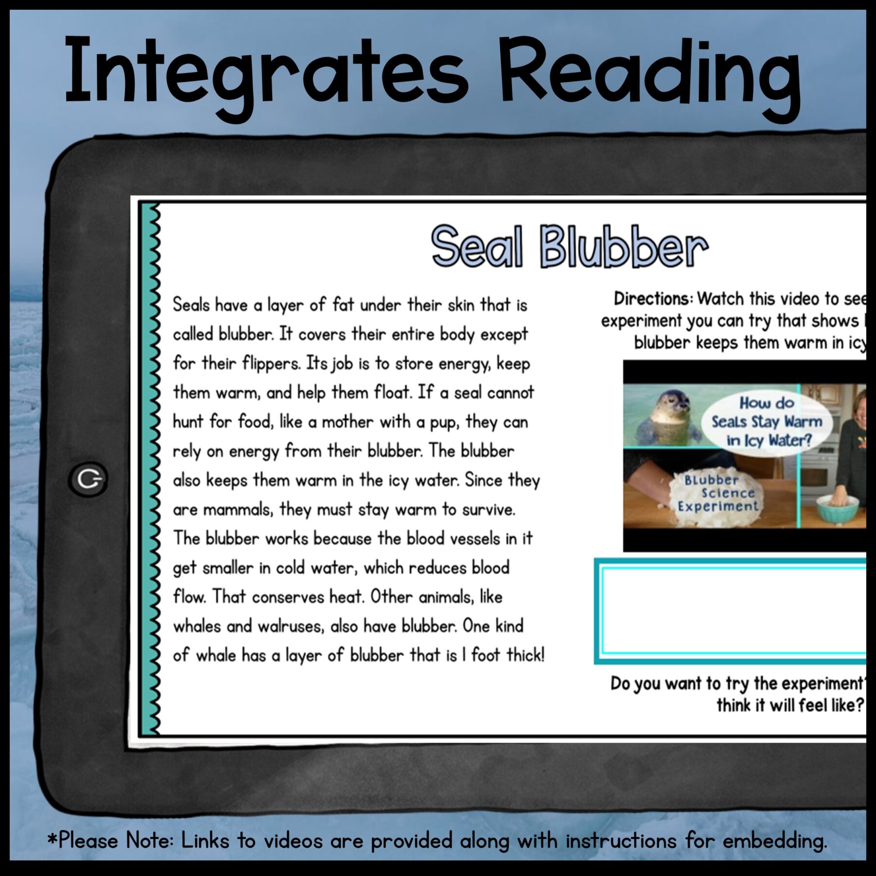 Ocean Animals Webquest Bundle & Report Writing Bonus - 2nd-5th Grade - Image 8