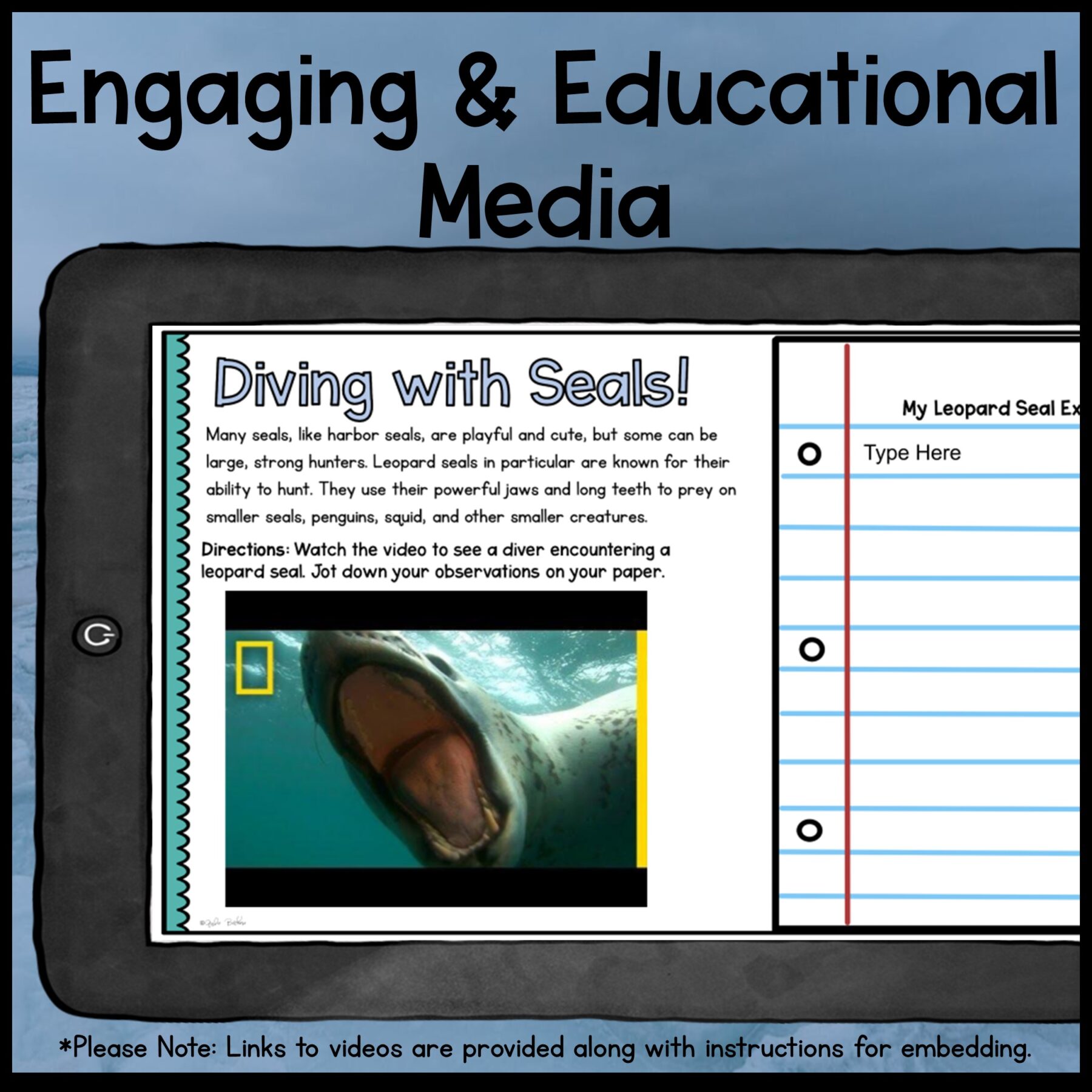 Ocean Animals Webquest Bundle & Report Writing Bonus - 2nd-5th Grade - Image 9