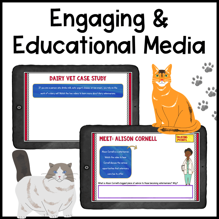 Virtual Career Day: Veterinarian - Google Slides & Seesaw - Image 3