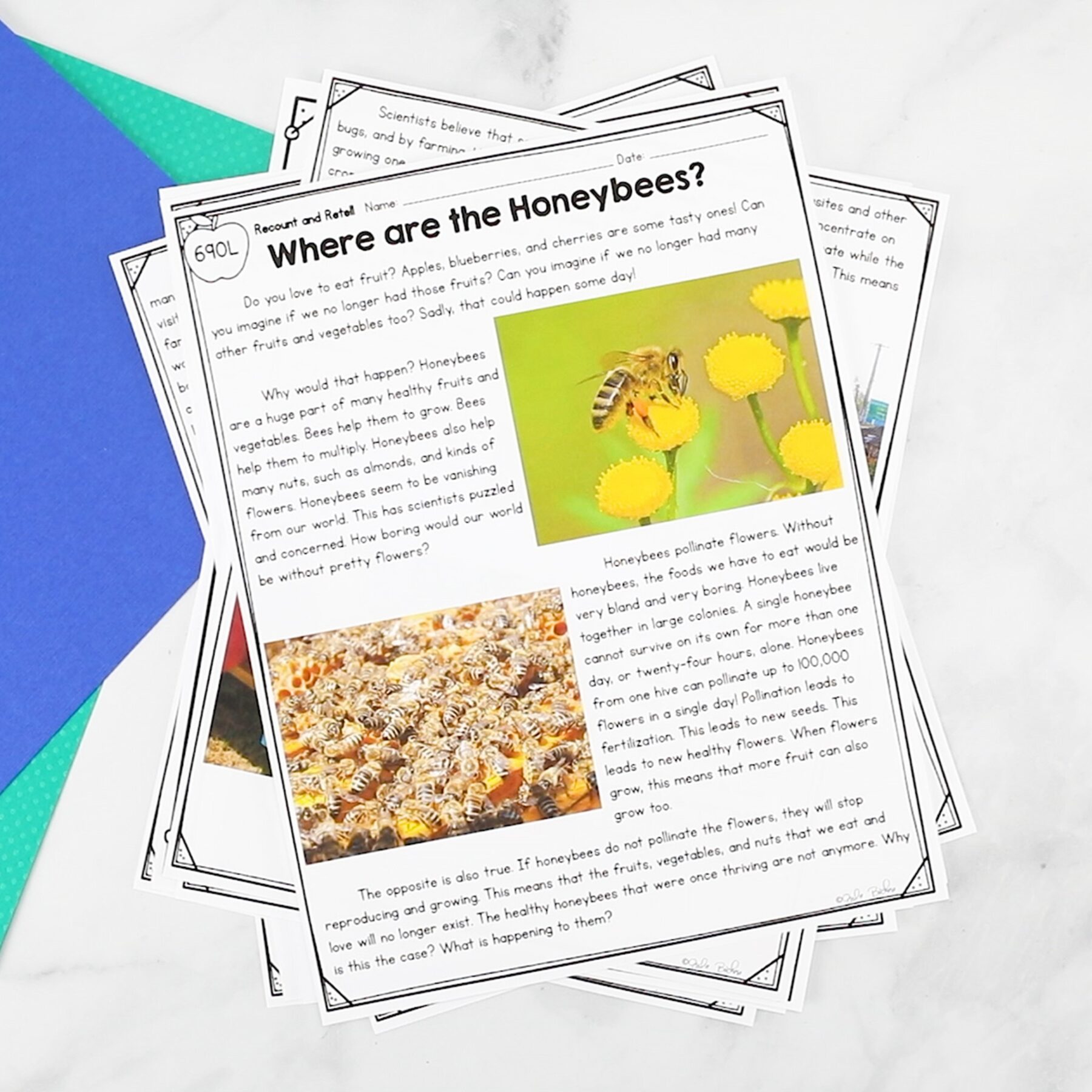 Summarize Nonfiction - 3rd Grade Florida BEST Standards - ELA.3.R.3.2 - Image 3