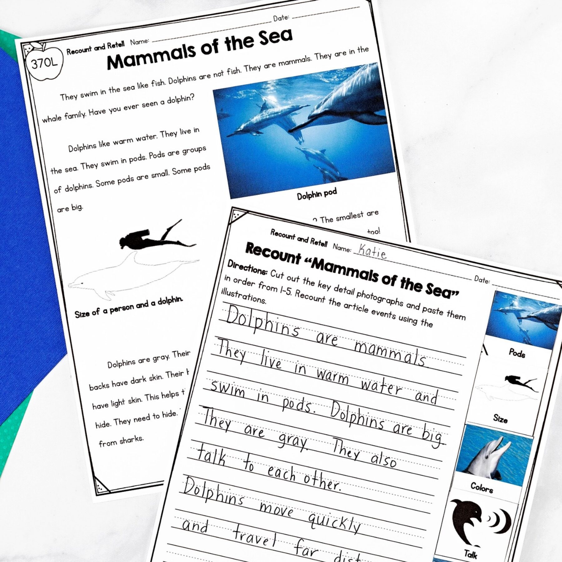 Summarize Nonfiction - 3rd Grade Florida BEST Standards - ELA.3.R.3.2 - Image 4