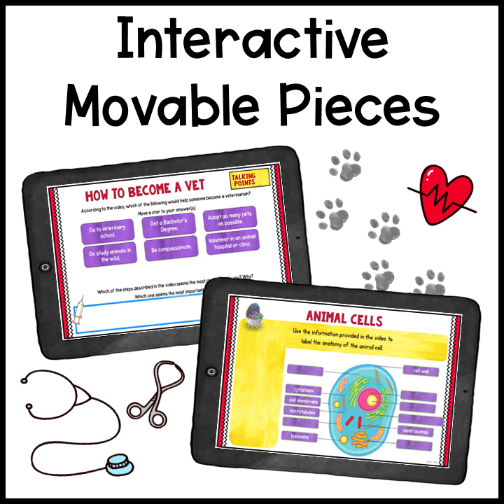 Virtual Career Day: Veterinarian - Google Slides & Seesaw - Image 7