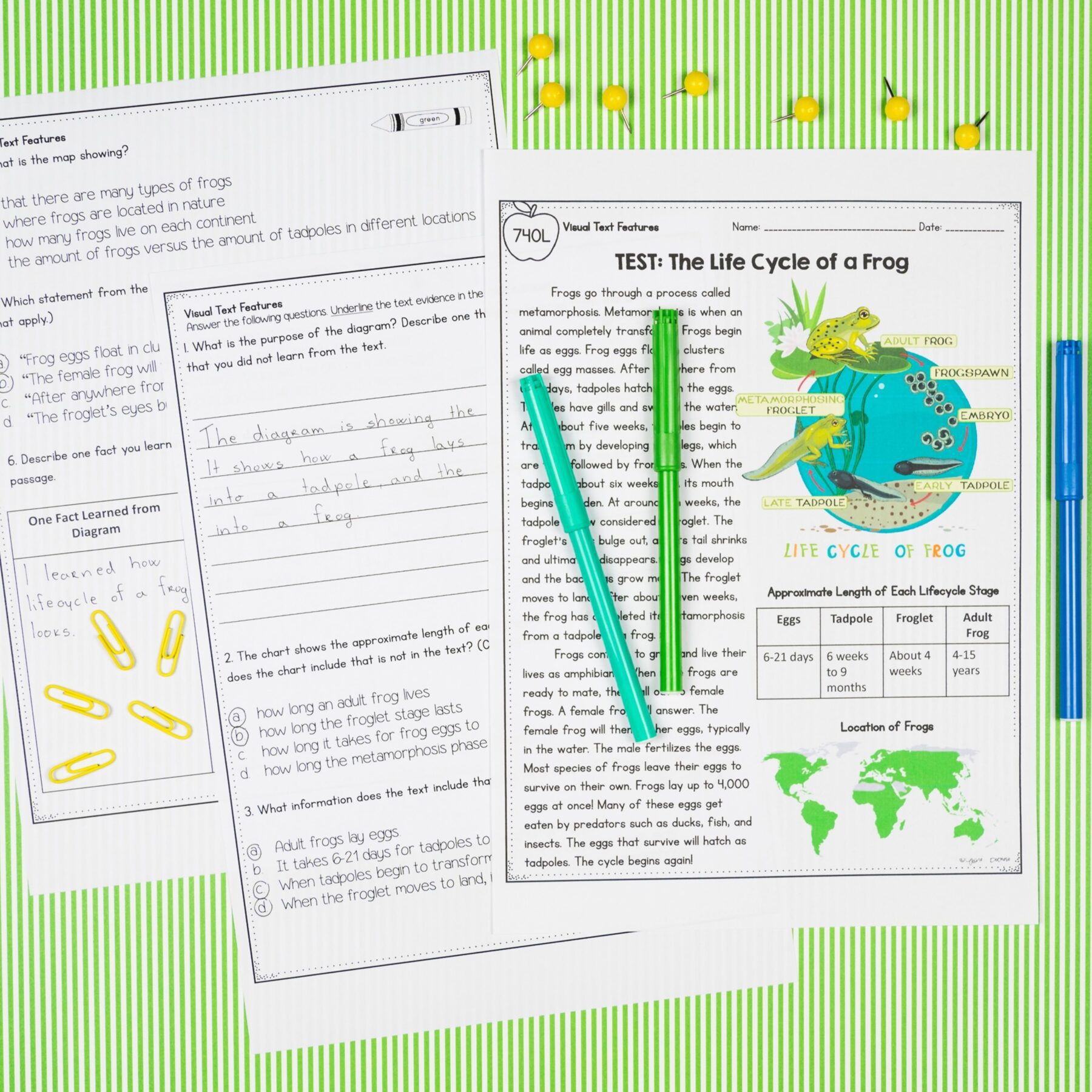 4th Grade Florida BEST Standards ELA Reading Comprehension Bundle FL B.E.S.T. - Image 3