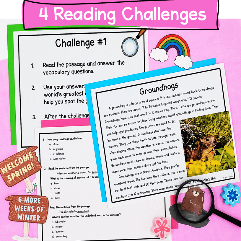 Groundhog Day 2nd & 3rd Grade Escape Room & Virtual Field Trip Digital Activity - Image 3