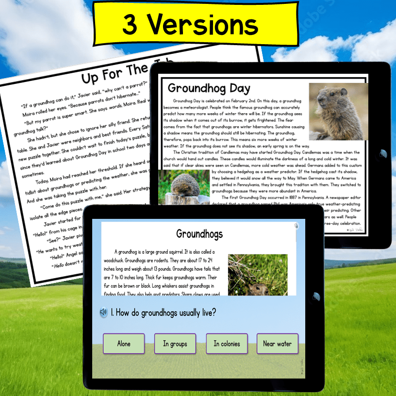 Groundhog Day 2nd & 3rd Grade Escape Room & Virtual Field Trip Digital Activity - Image 5