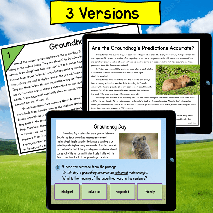Groundhog Day 4th & 5th Grade Escape Room & Virtual Field Trip Digital Activity - Image 5