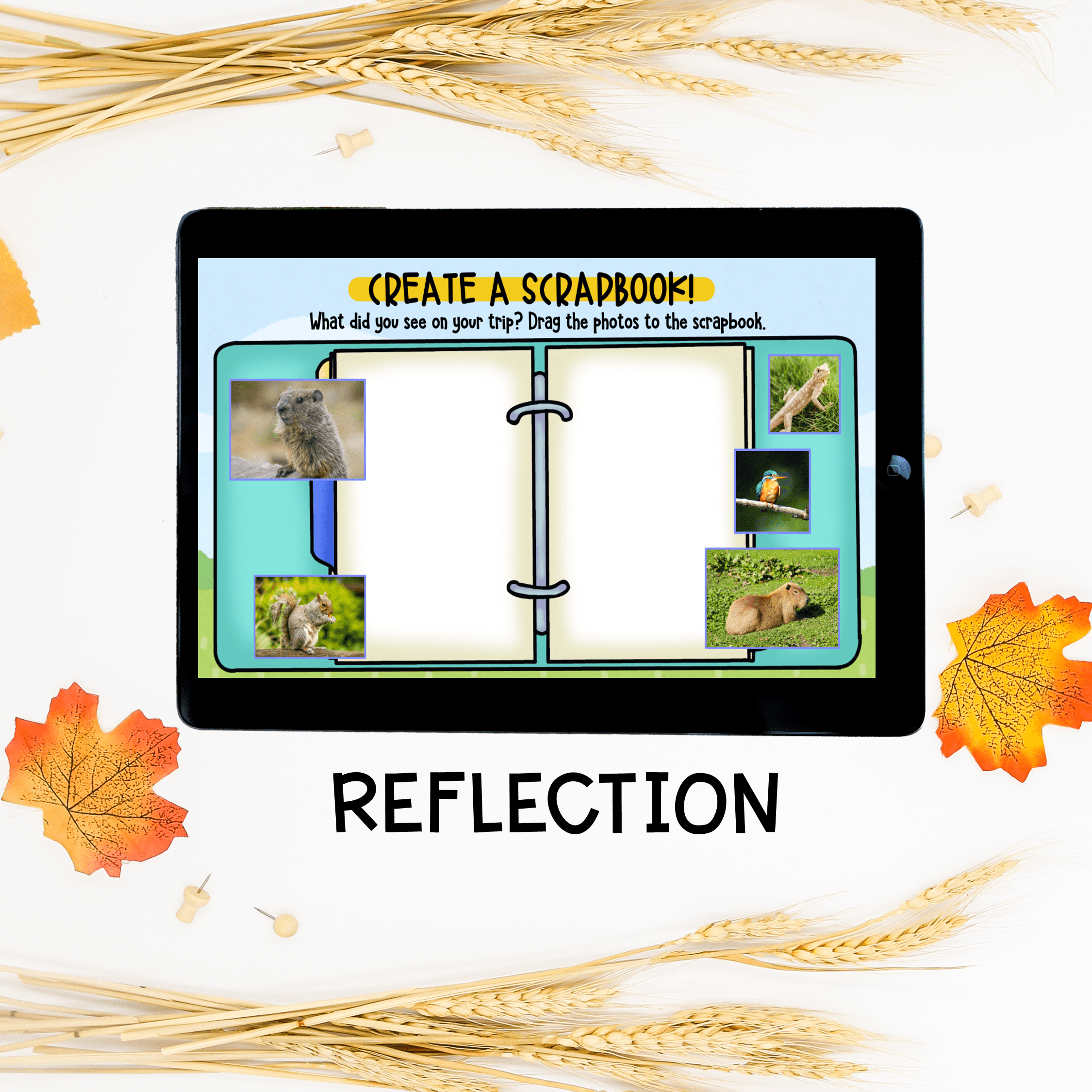 Groundhog Day Virtual Field Trip Digital Resource Activity K-1st Grade Shadows - Image 7