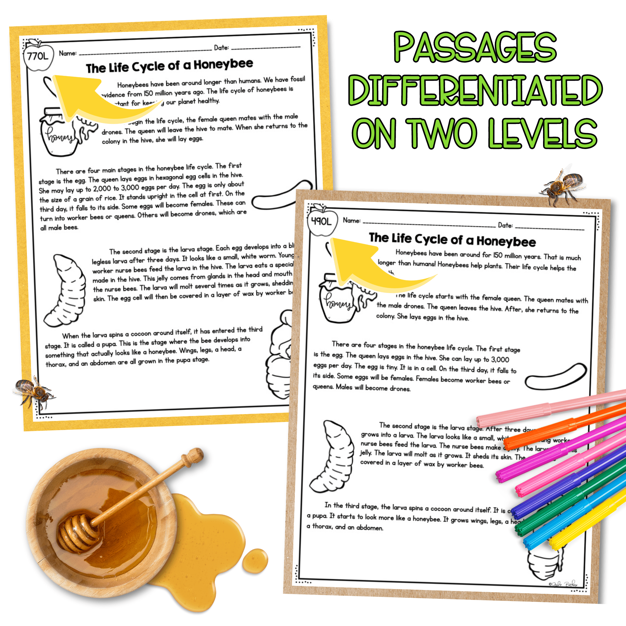 Plant & Animal Life Cycles NGSS 3-LS1-1 Science Differentiated Reading Passages - Image 2