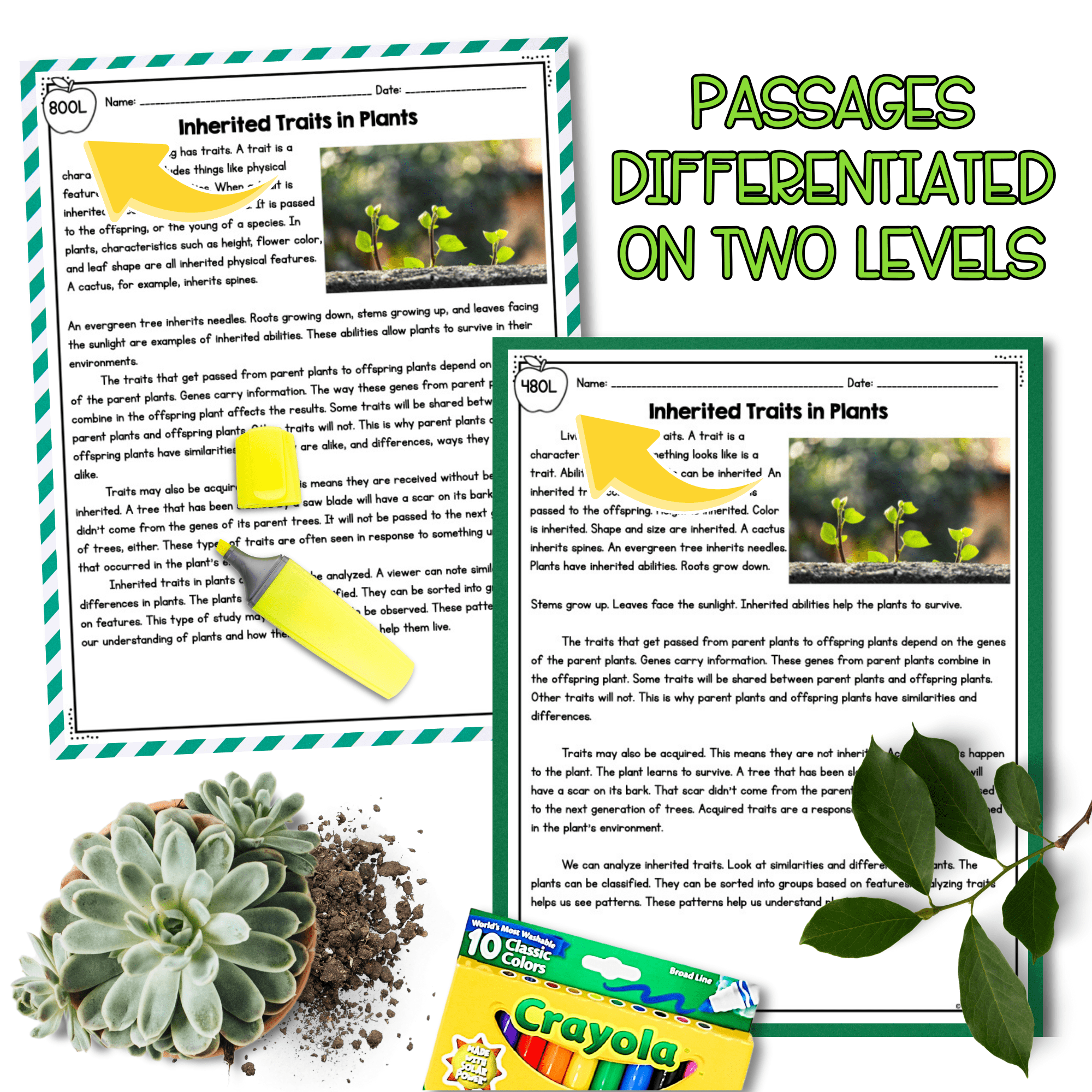 Inherited Traits NGSS 3-LS3-1 Science Differentiated Reading Passages - Image 2