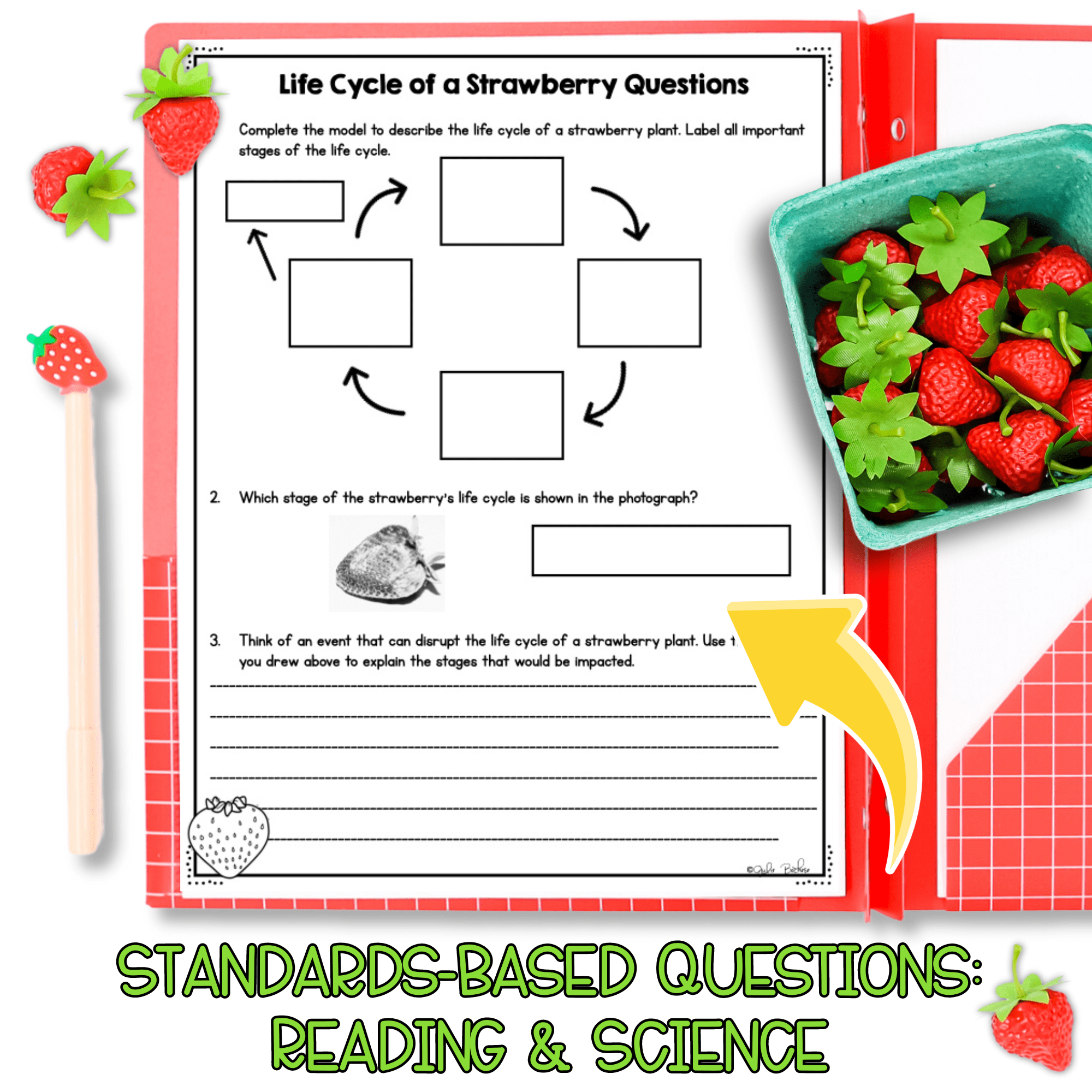Plant & Animal Life Cycles NGSS 3-LS1-1 Science Differentiated Reading Passages - Image 3