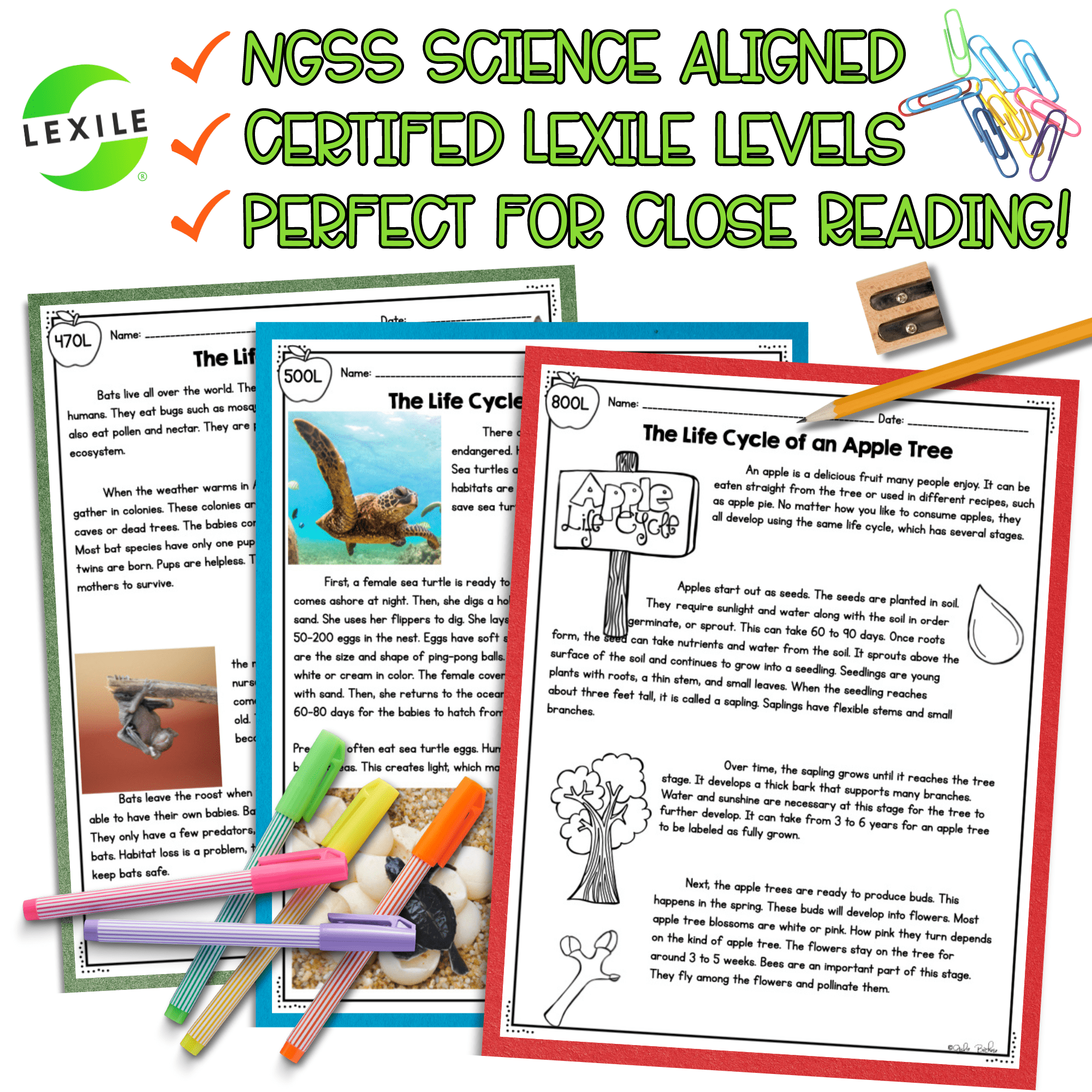 Plant & Animal Life Cycles NGSS 3-LS1-1 Science Differentiated Reading Passages - Image 4