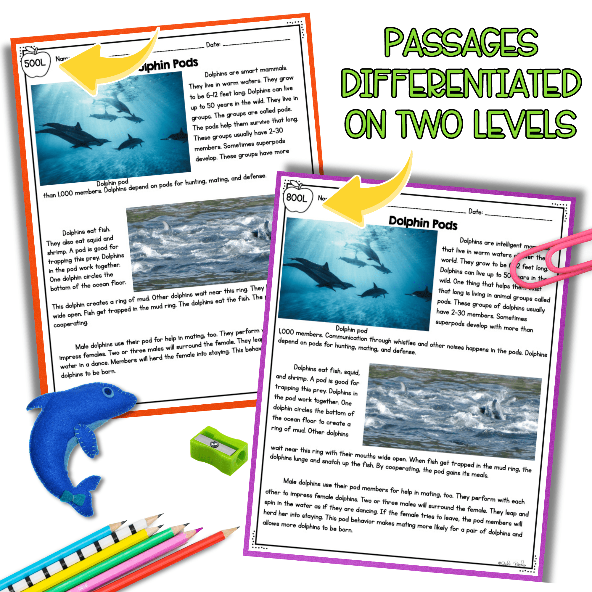 Animal Groups NGSS 3-LS-2-1 Science Differentiated Reading Passages - Image 2
