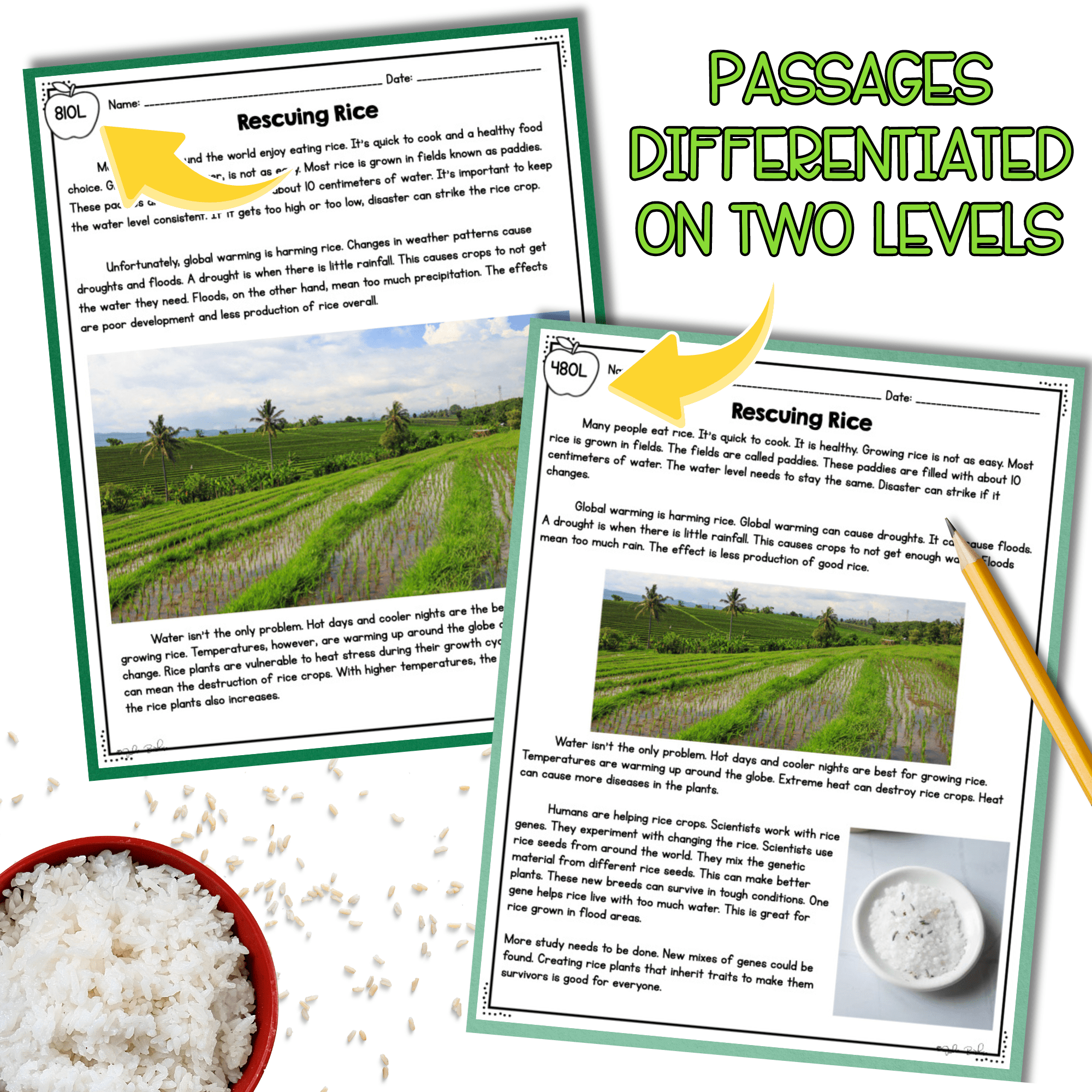 Environment & Traits NGSS 3-LS3-2 Science Differentiated Reading Passages - Image 2