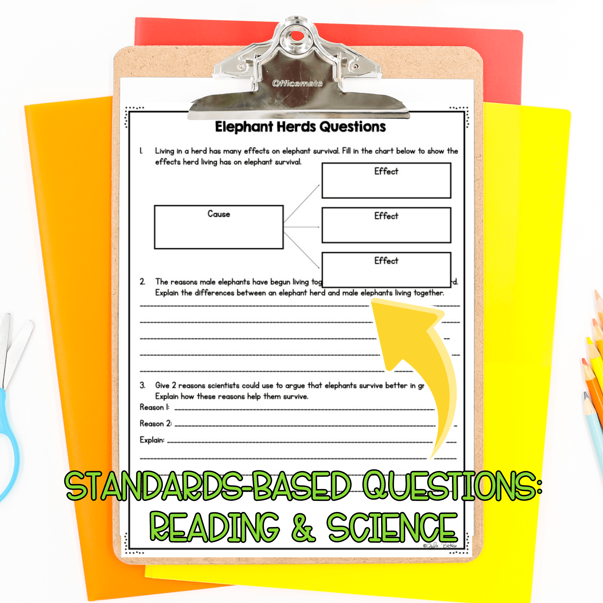 Animal Groups NGSS 3-LS-2-1 Science Differentiated Reading Passages - Image 3
