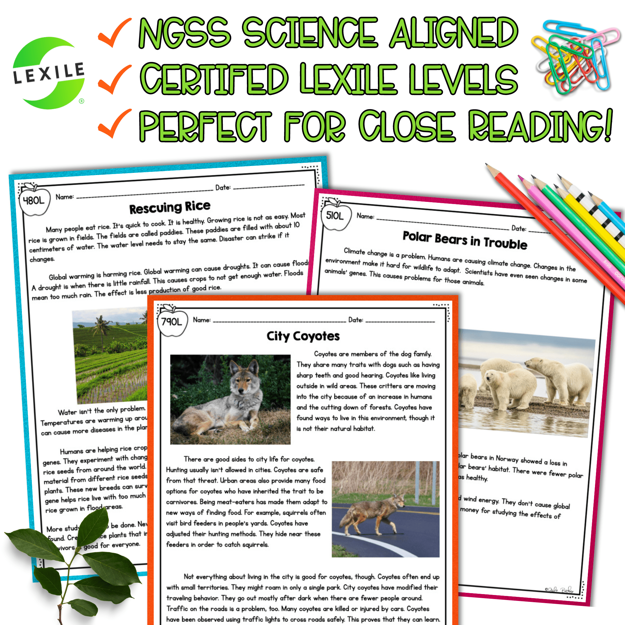 Environment & Traits NGSS 3-LS3-2 Science Differentiated Reading Passages - Image 4