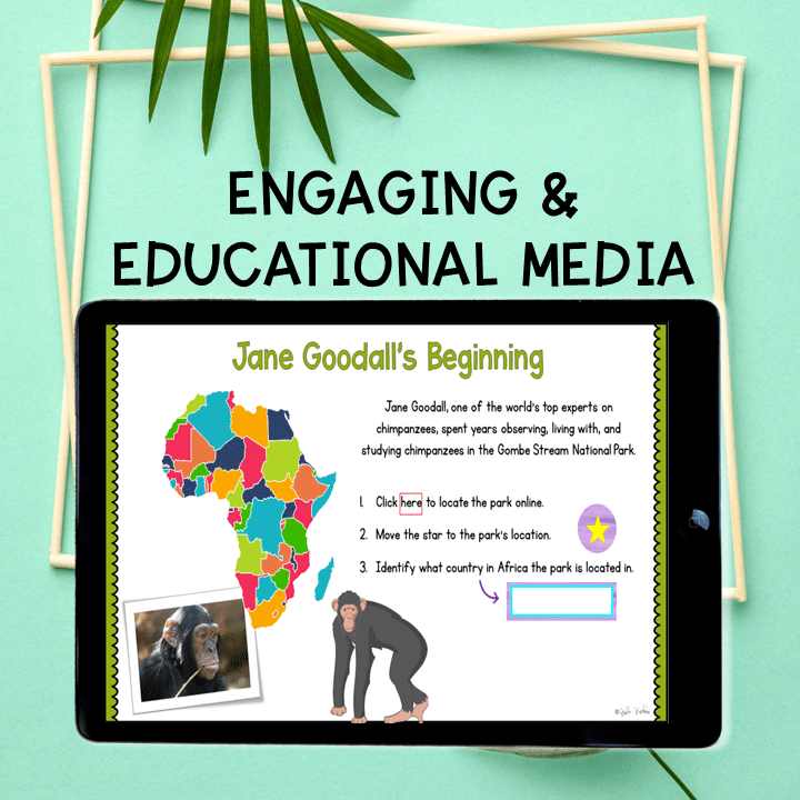 Jane Goodall and Cynthia Moss Animal Researcher Virtual Biography - Image 7