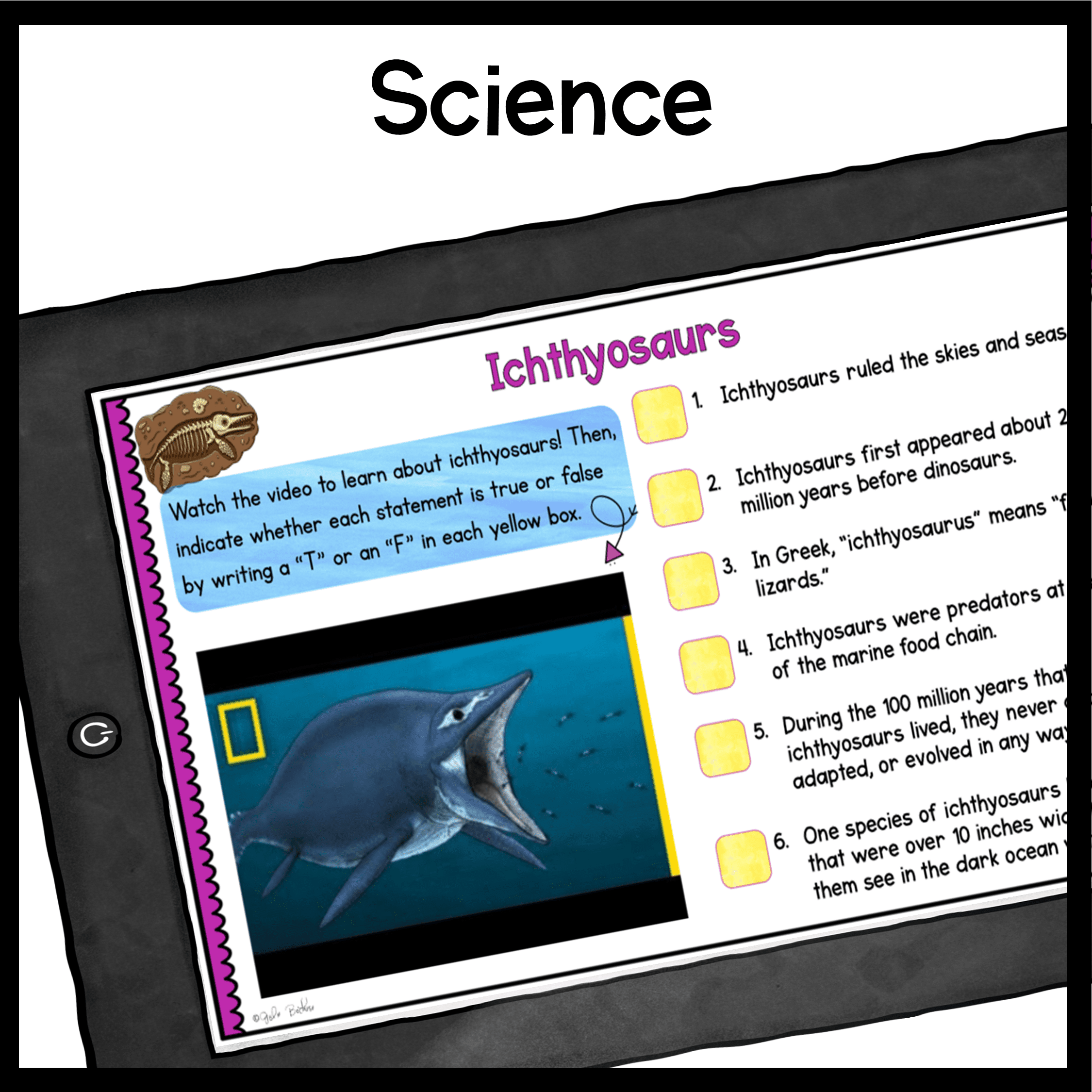 Women in Science Virtual Biography Bundle - Image 19