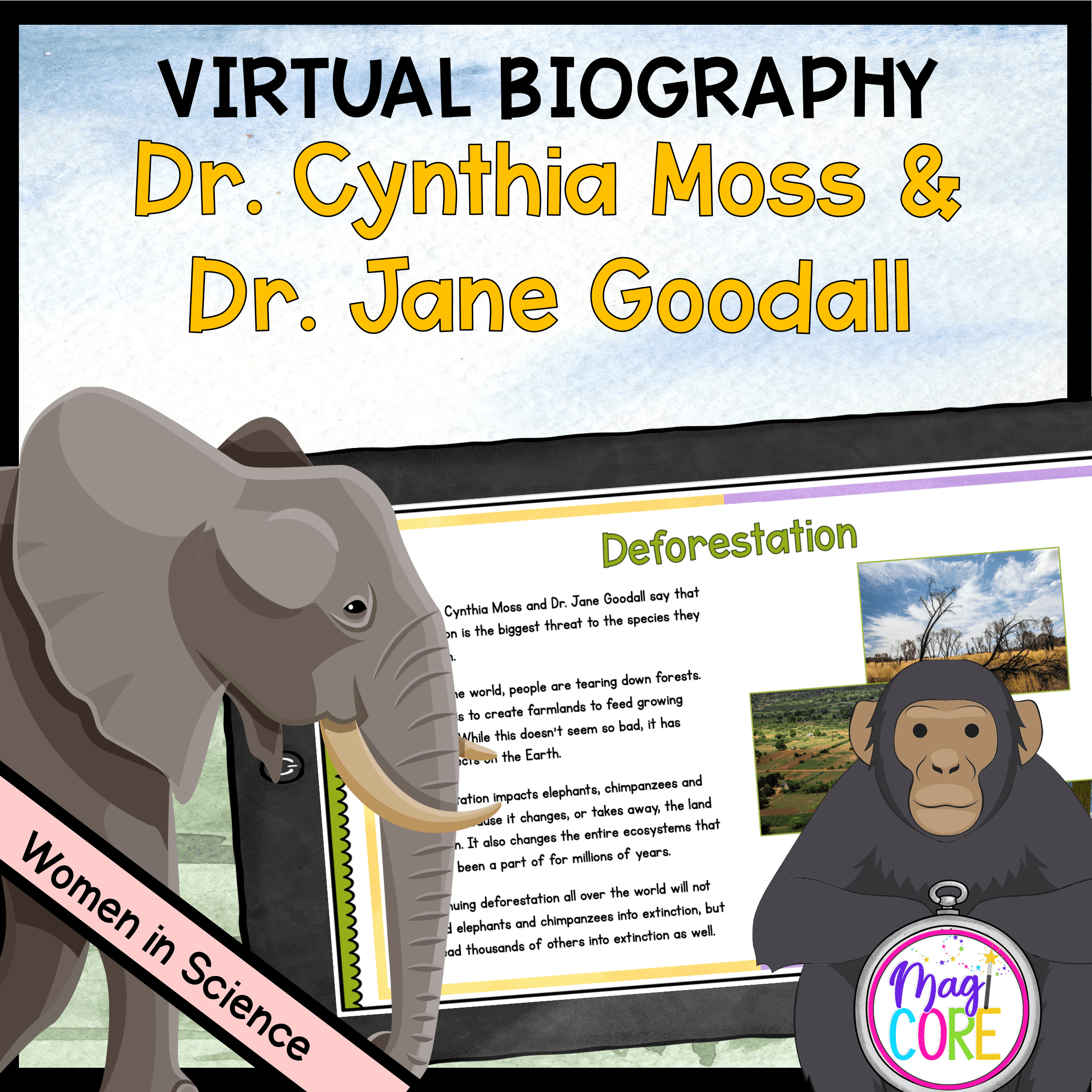 Women in Science Virtual Biography Bundle - Image 2