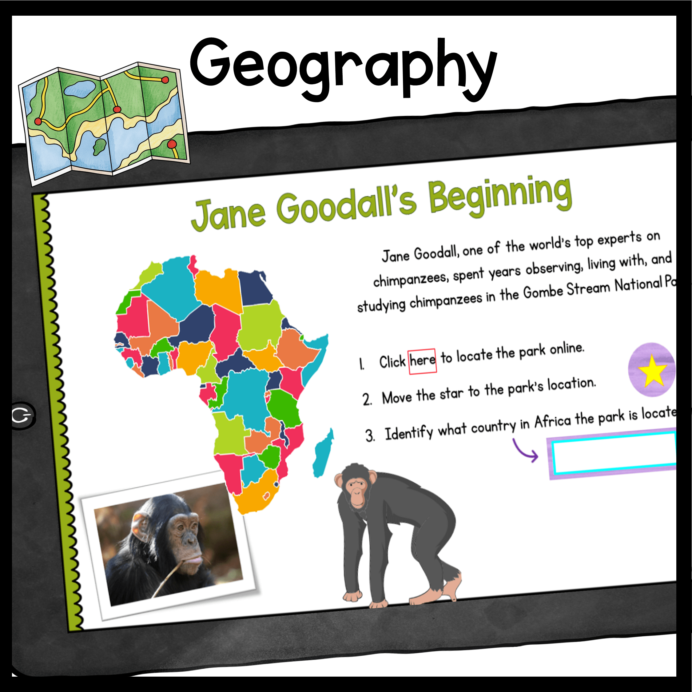 Women in Science Virtual Biography Bundle - Image 4