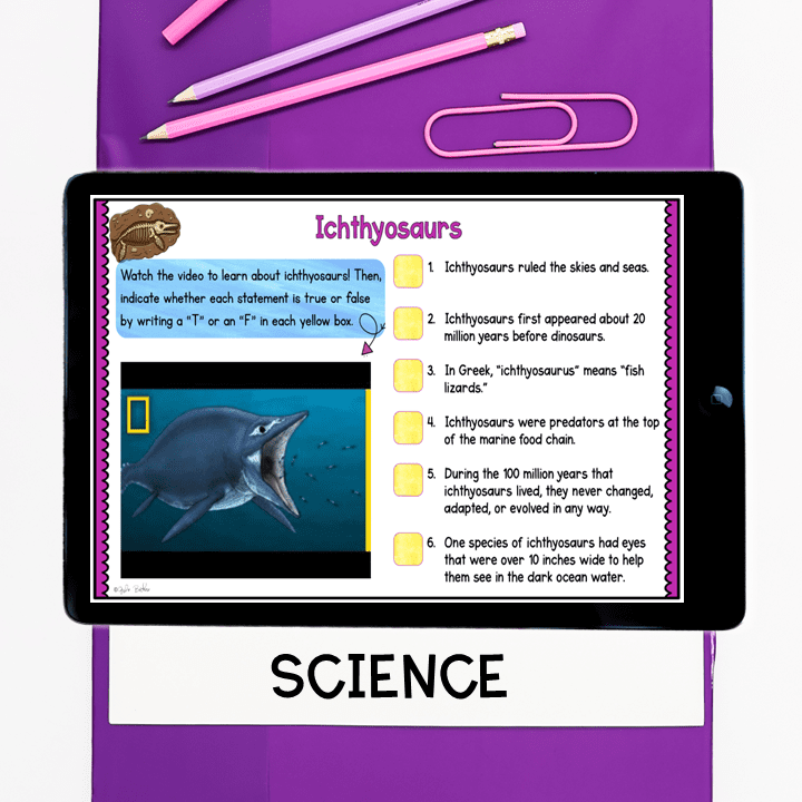 Fossil Paleontologist : Mary Anning Virtual Biography - Image 5
