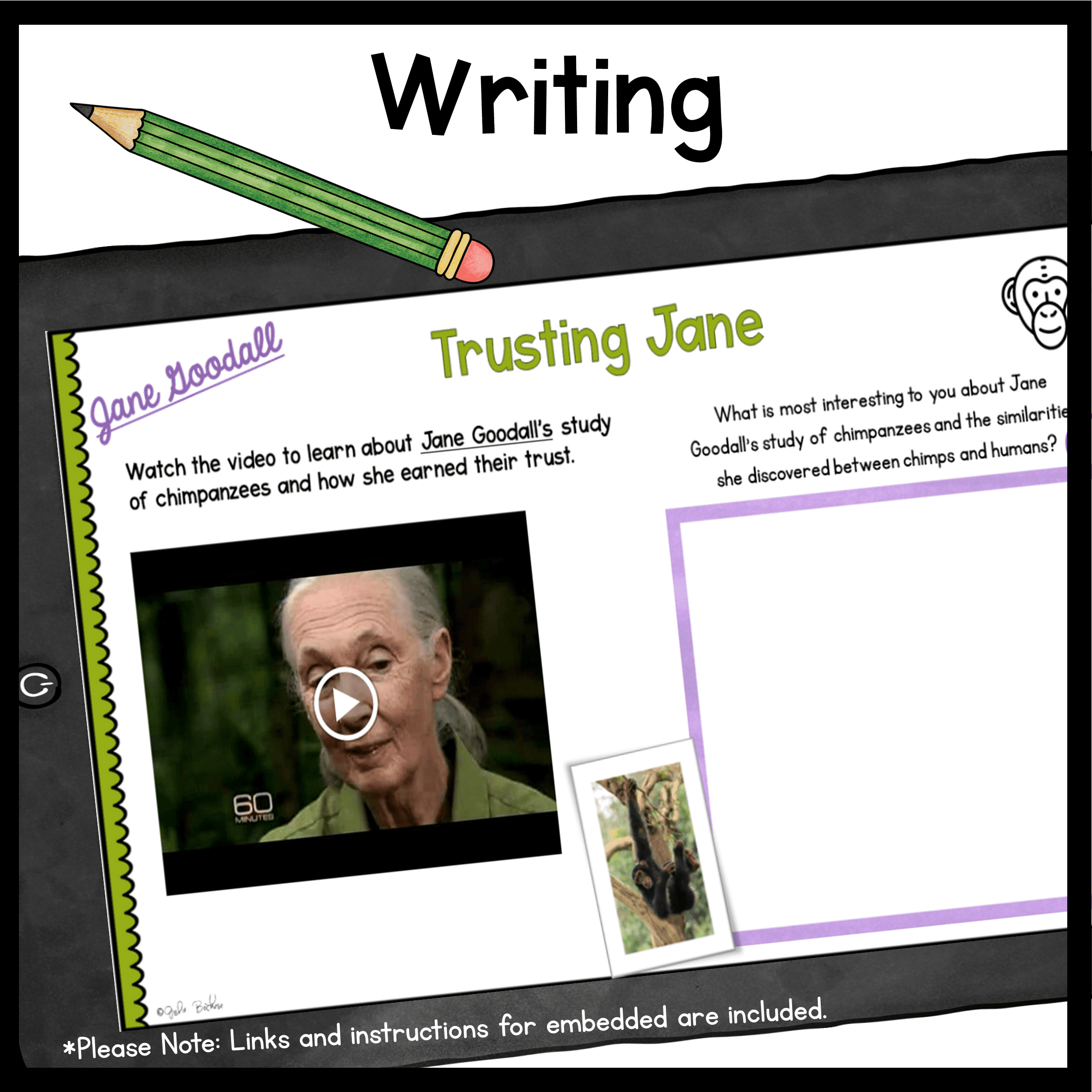 Women in Science Virtual Biography Bundle - Image 7