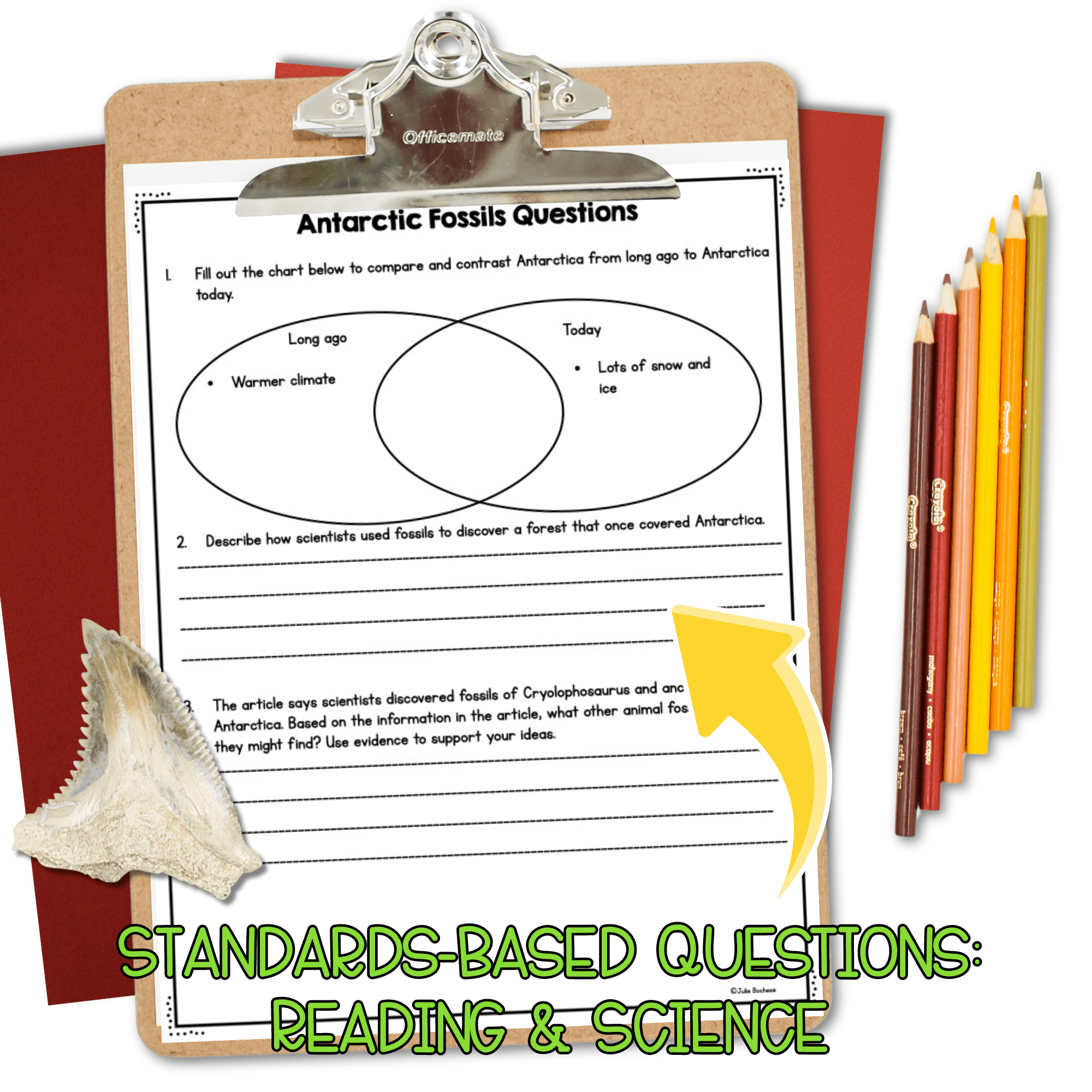 NGSS Differentiated Passages: Fossil Evidence of Past Environments - 3-LS4-1 - Image 3