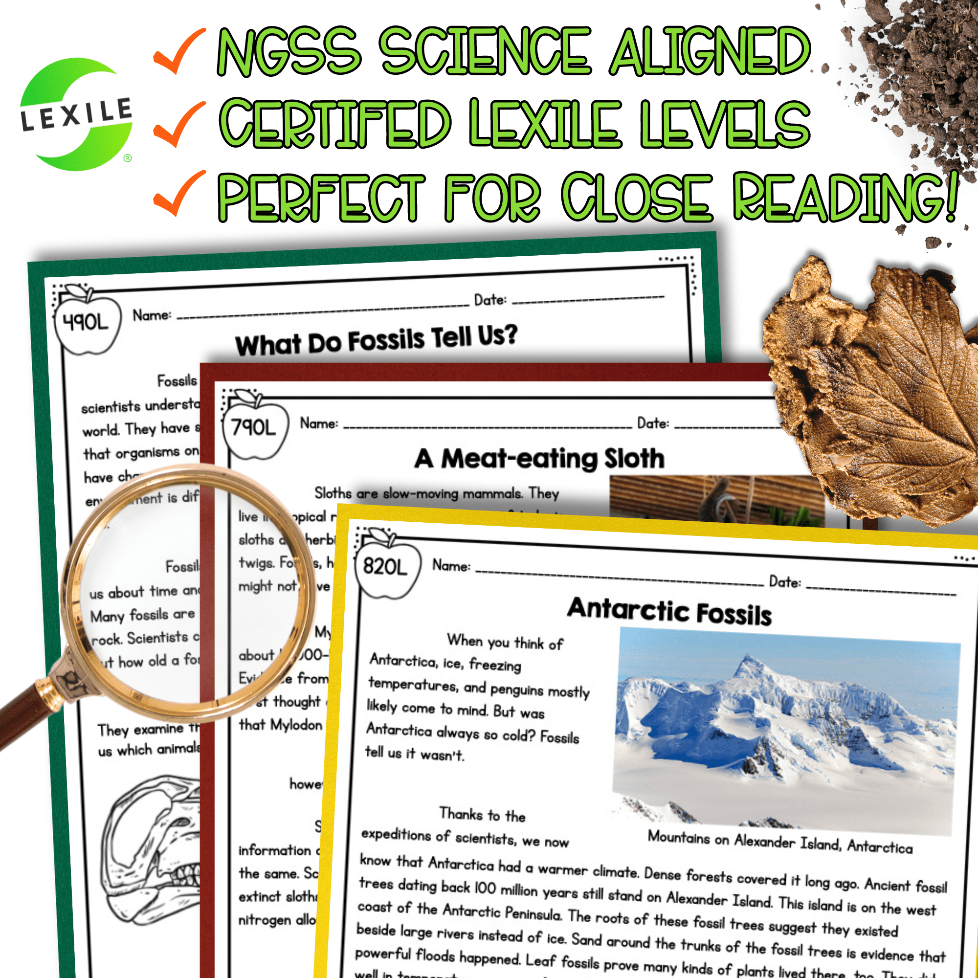 NGSS Differentiated Passages: Fossil Evidence of Past Environments - 3-LS4-1 - Image 4