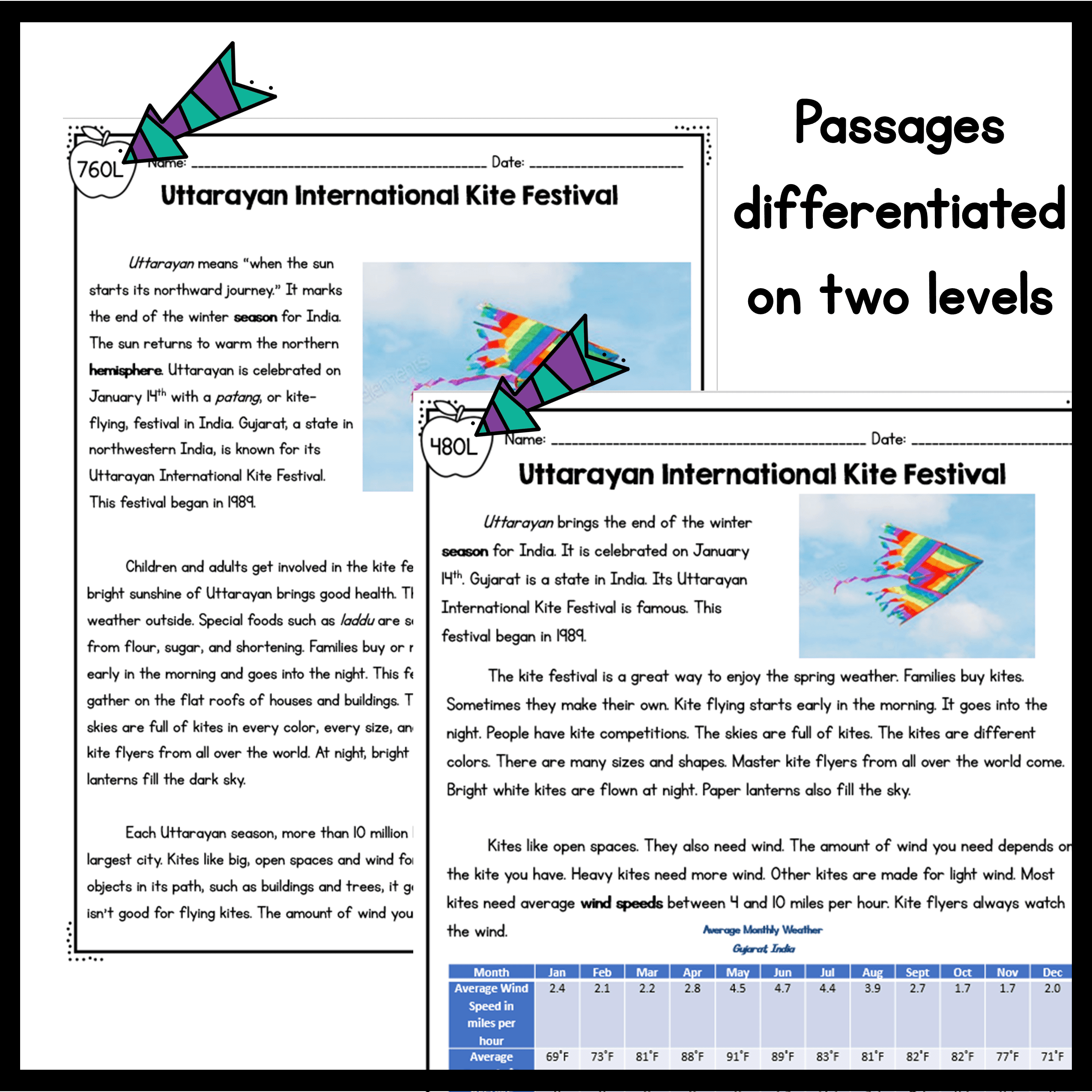 3rd Grade NGSS Differentiated Science Passages Bundle - Image 11