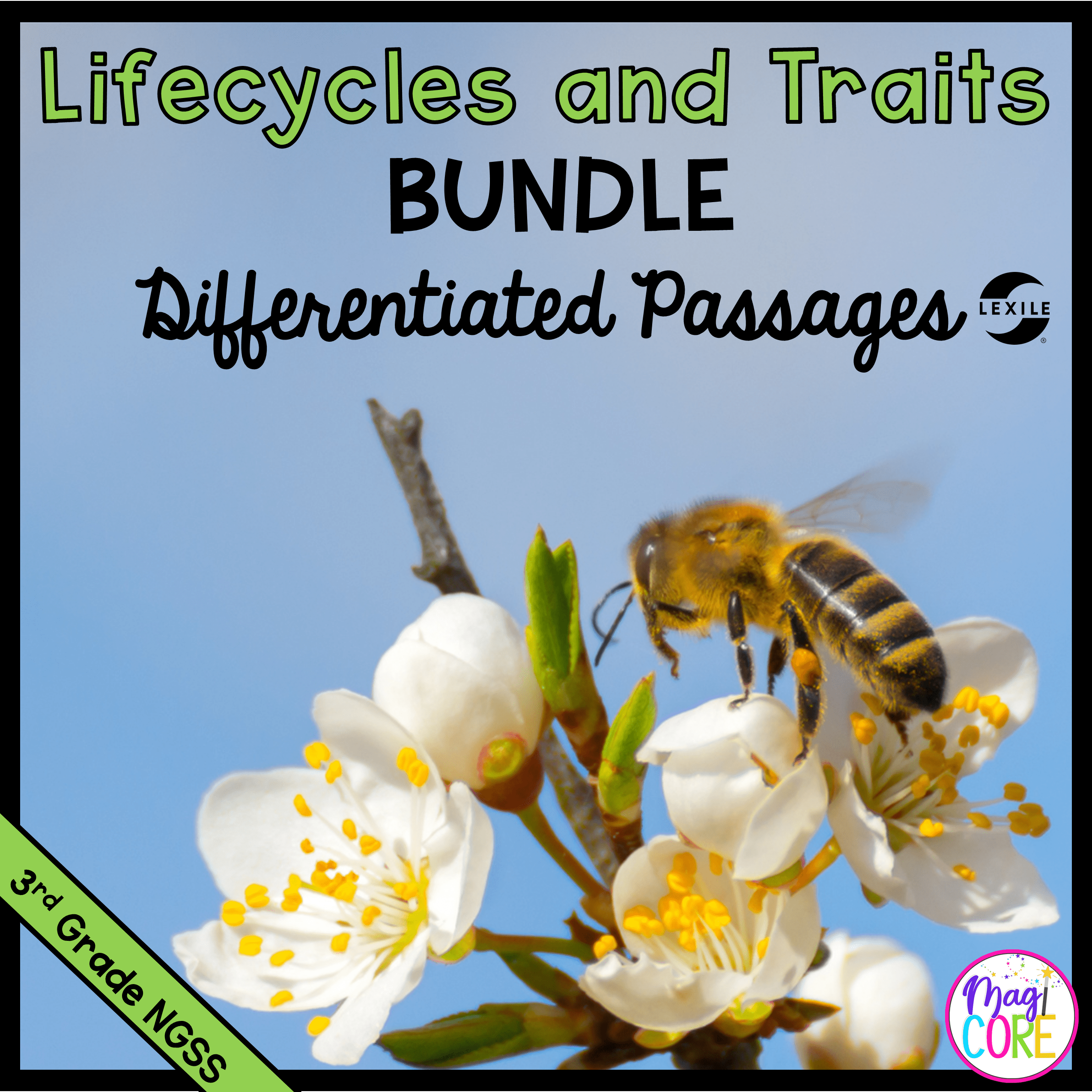 3rd Grade NGSS Differentiated Science Passages Bundle - Image 2