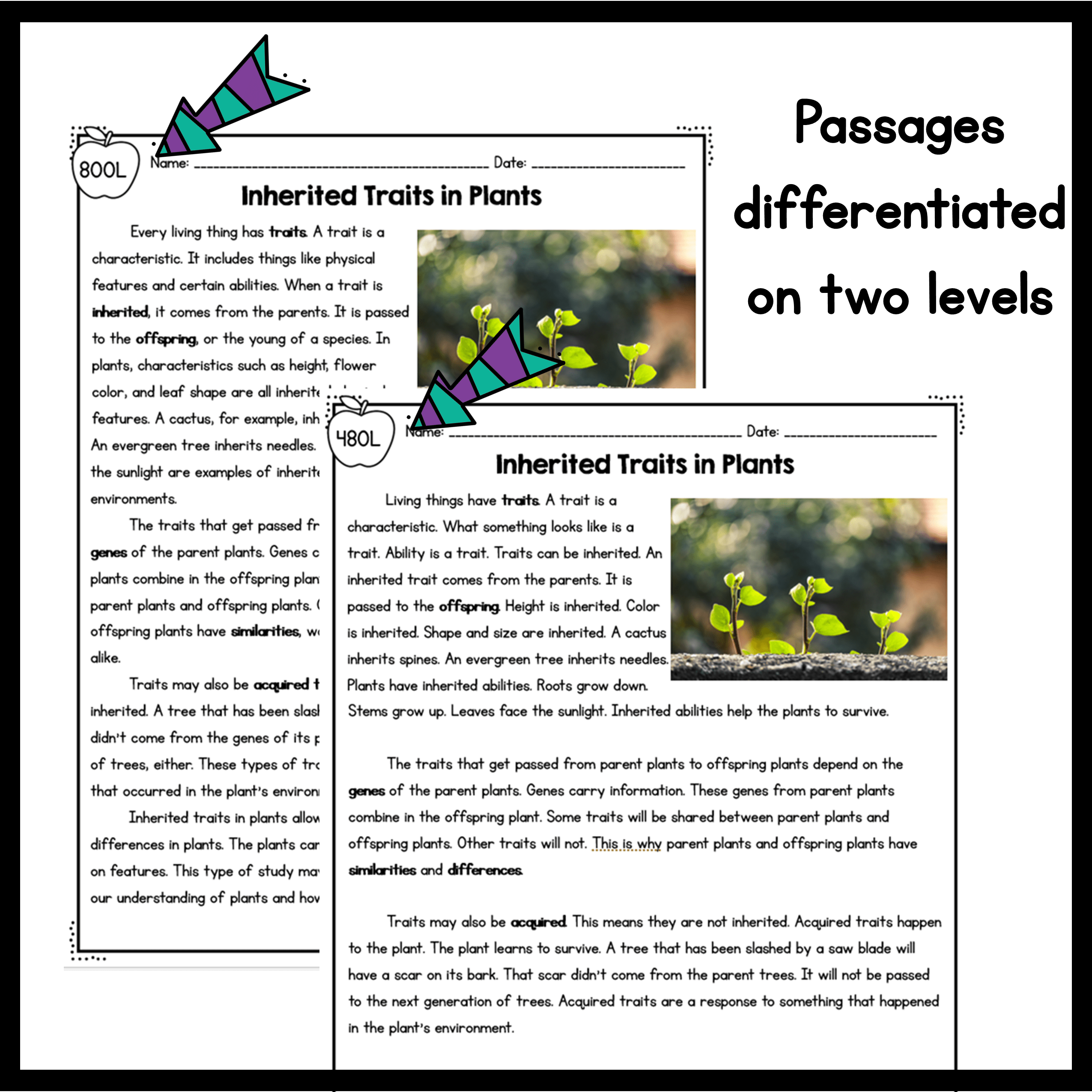 3rd Grade NGSS Differentiated Science Passages Bundle - Image 3