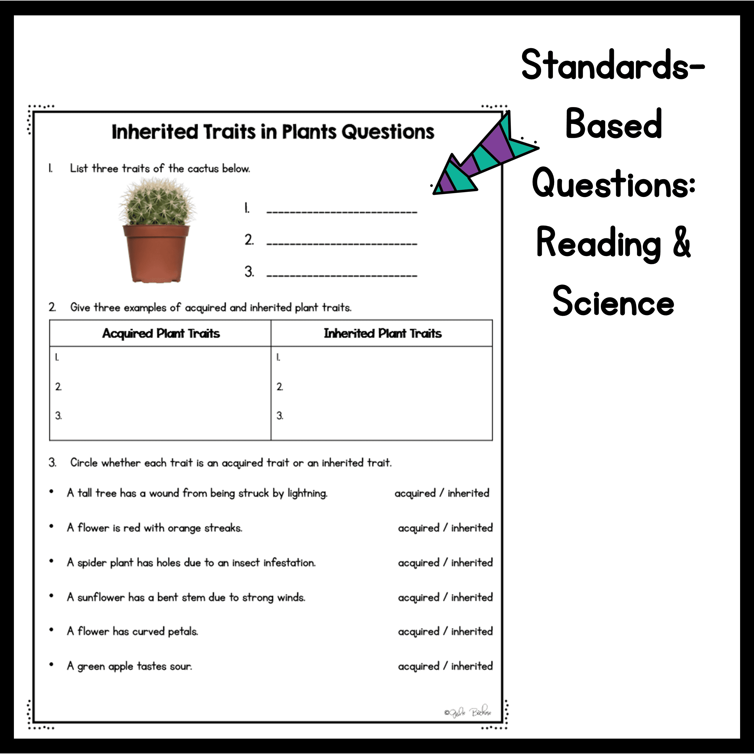 3rd Grade NGSS Differentiated Science Passages Bundle - Image 4