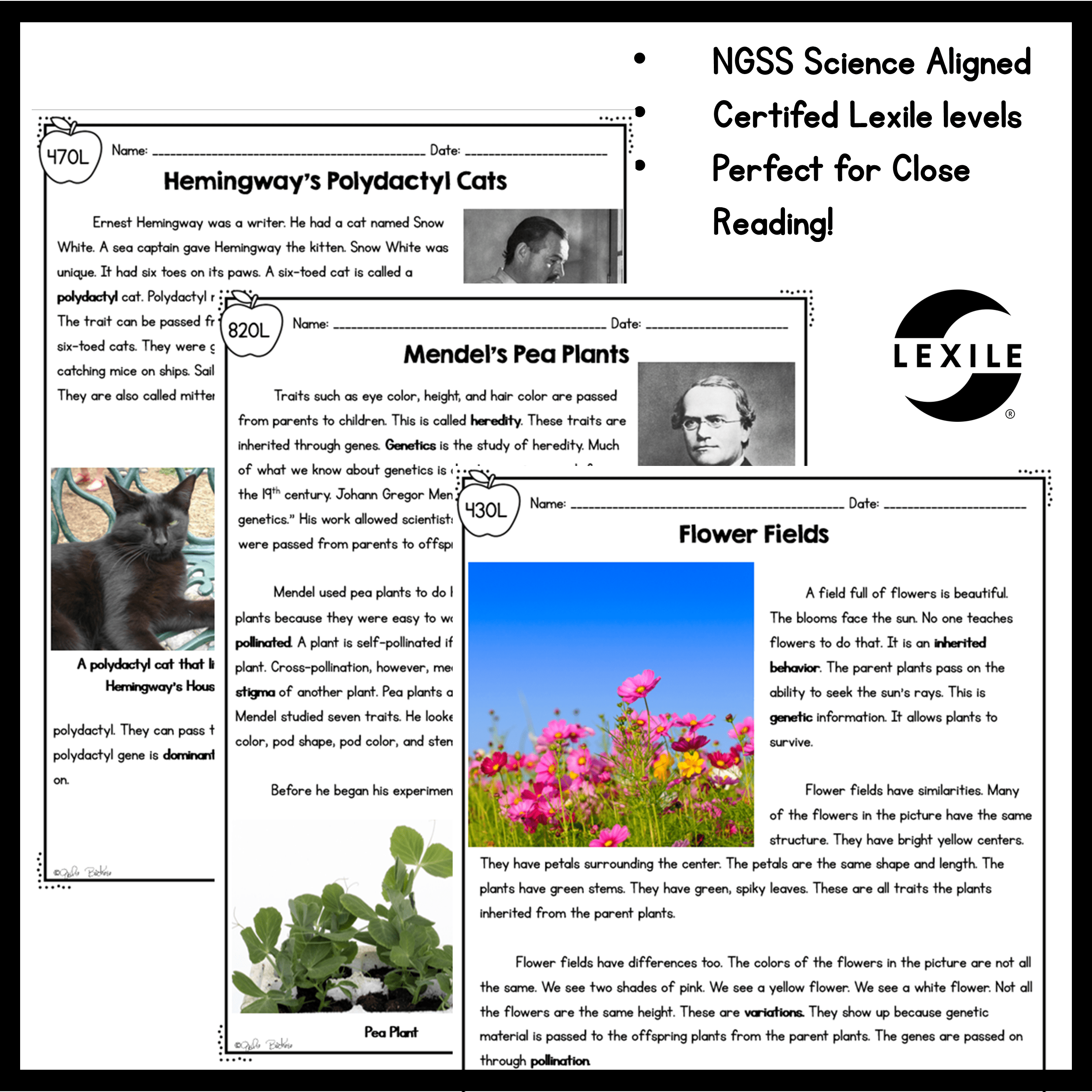3rd Grade NGSS Differentiated Science Passages Bundle - Image 5