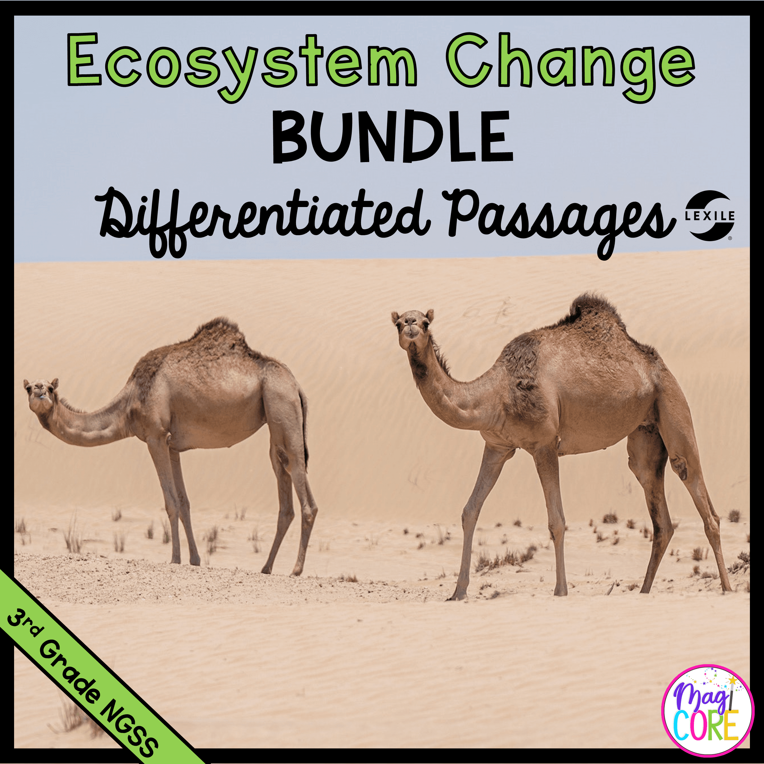 3rd Grade NGSS Differentiated Science Passages Bundle - Image 6