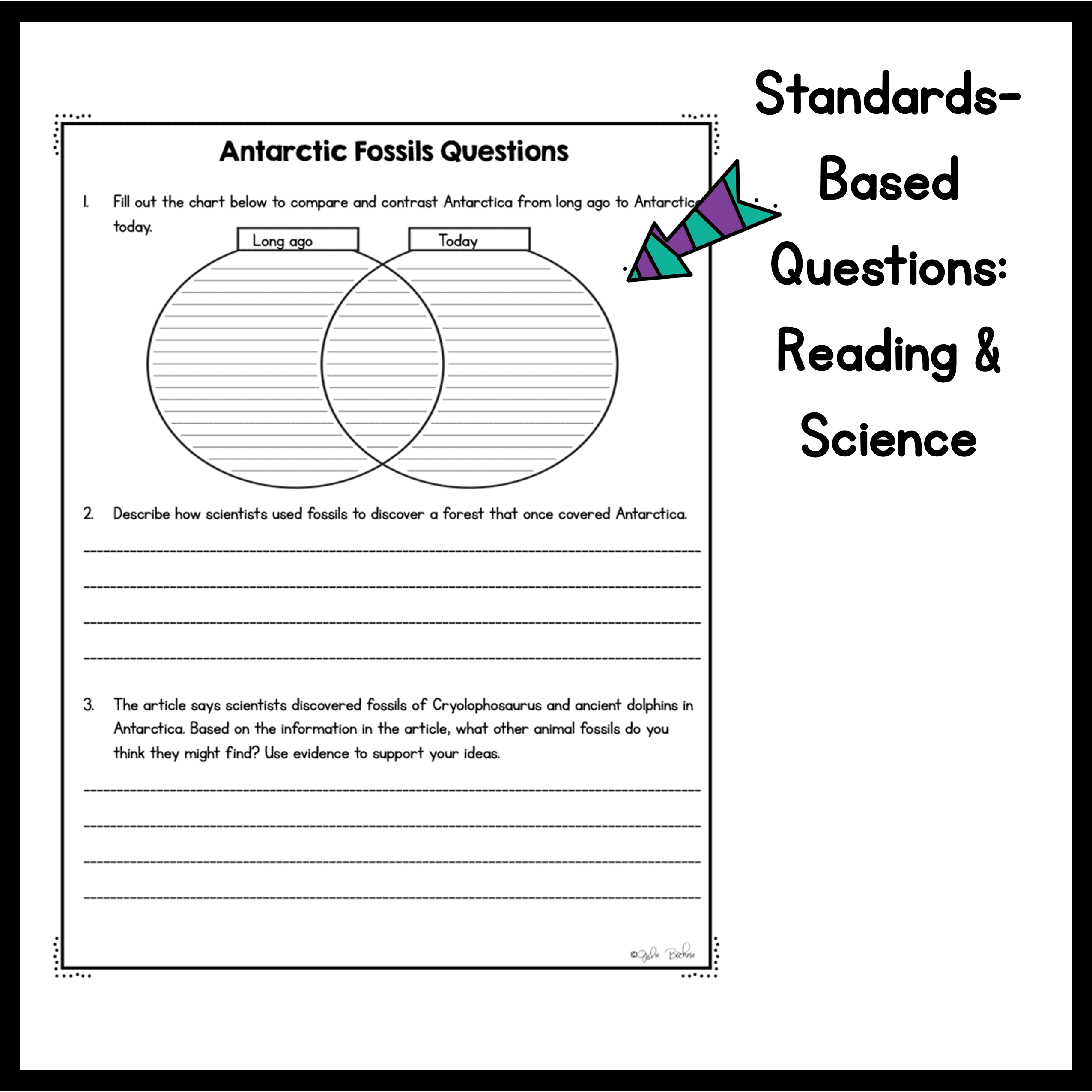 3rd Grade NGSS Differentiated Science Passages Bundle - Image 8