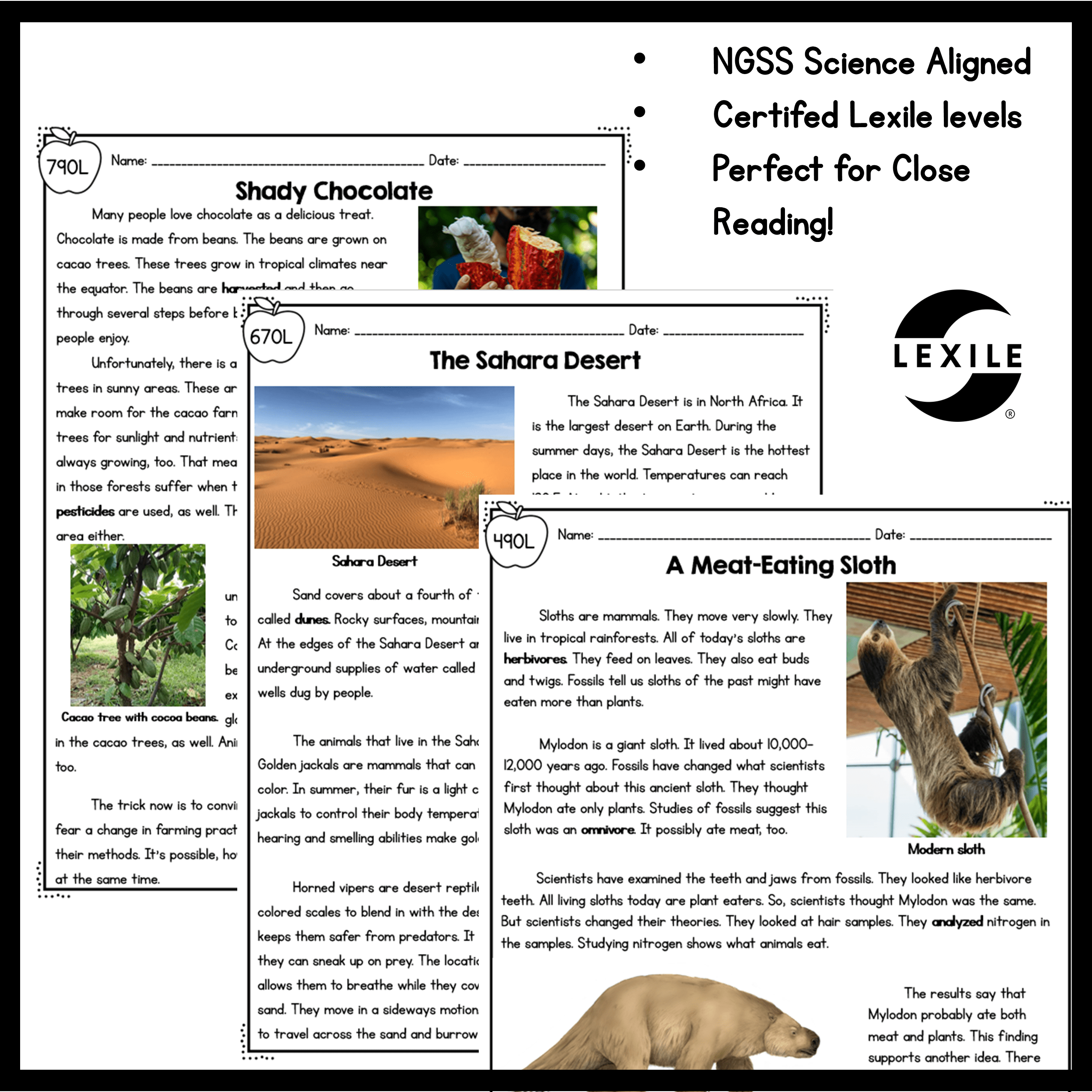 3rd Grade NGSS Differentiated Science Passages Bundle - Image 9