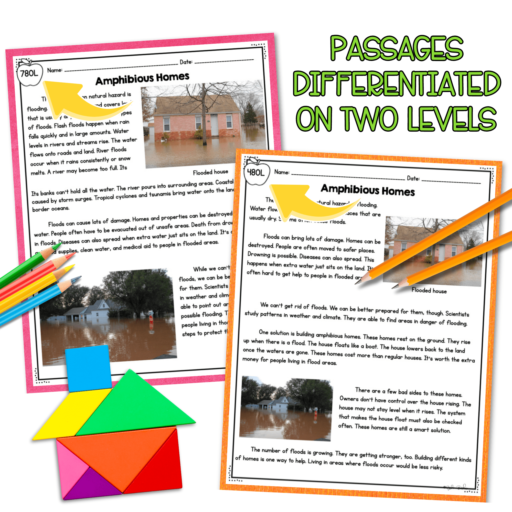 Extreme Weather Solutions NGSS 3-ESS3-1 Science Differentiated Passages - Image 2