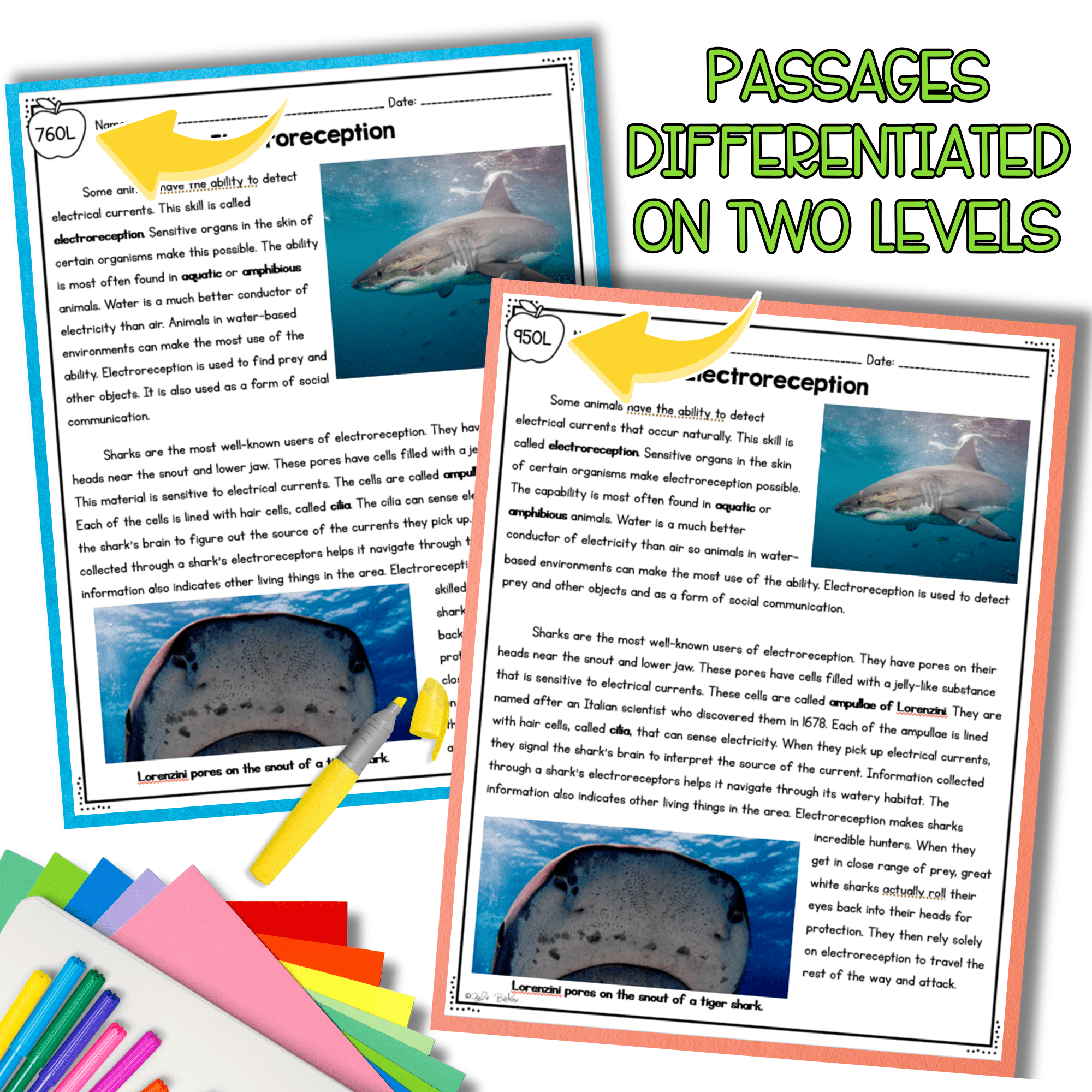 Animal Senses 4-LS1-2 Science Differentiated Reading Passages Question Worksheet - Image 2