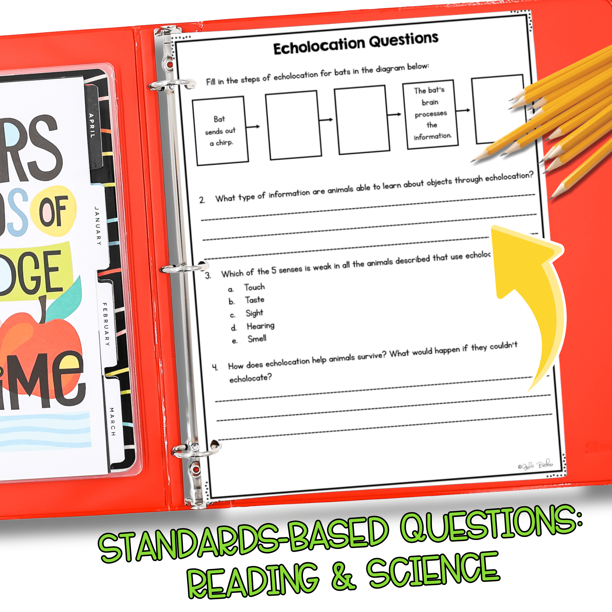 Animal Senses 4-LS1-2 Science Differentiated Reading Passages Question Worksheet - Image 3