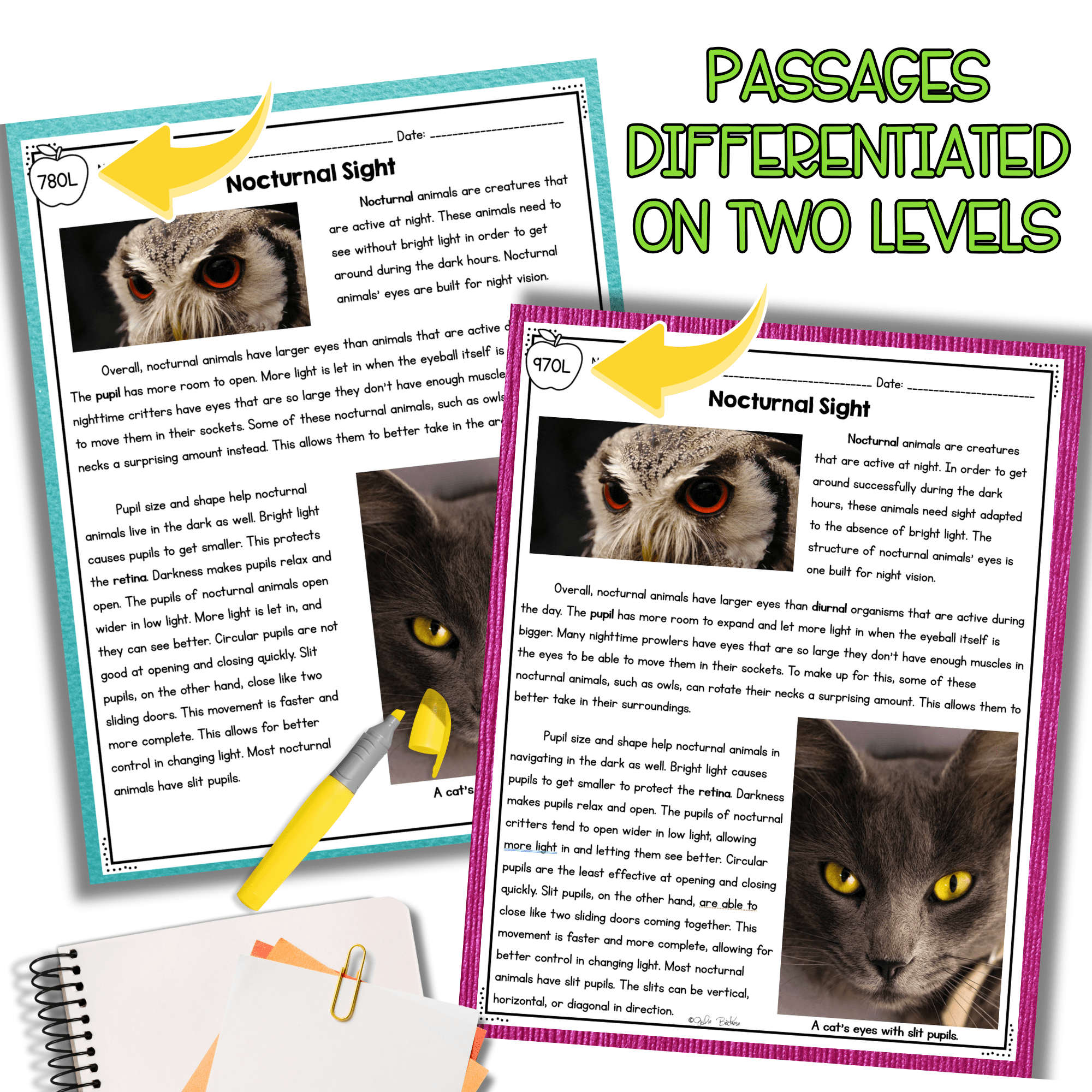 Structures & Senses Science Differentiated Passages BUNDLE - 4th Grade - Image 11