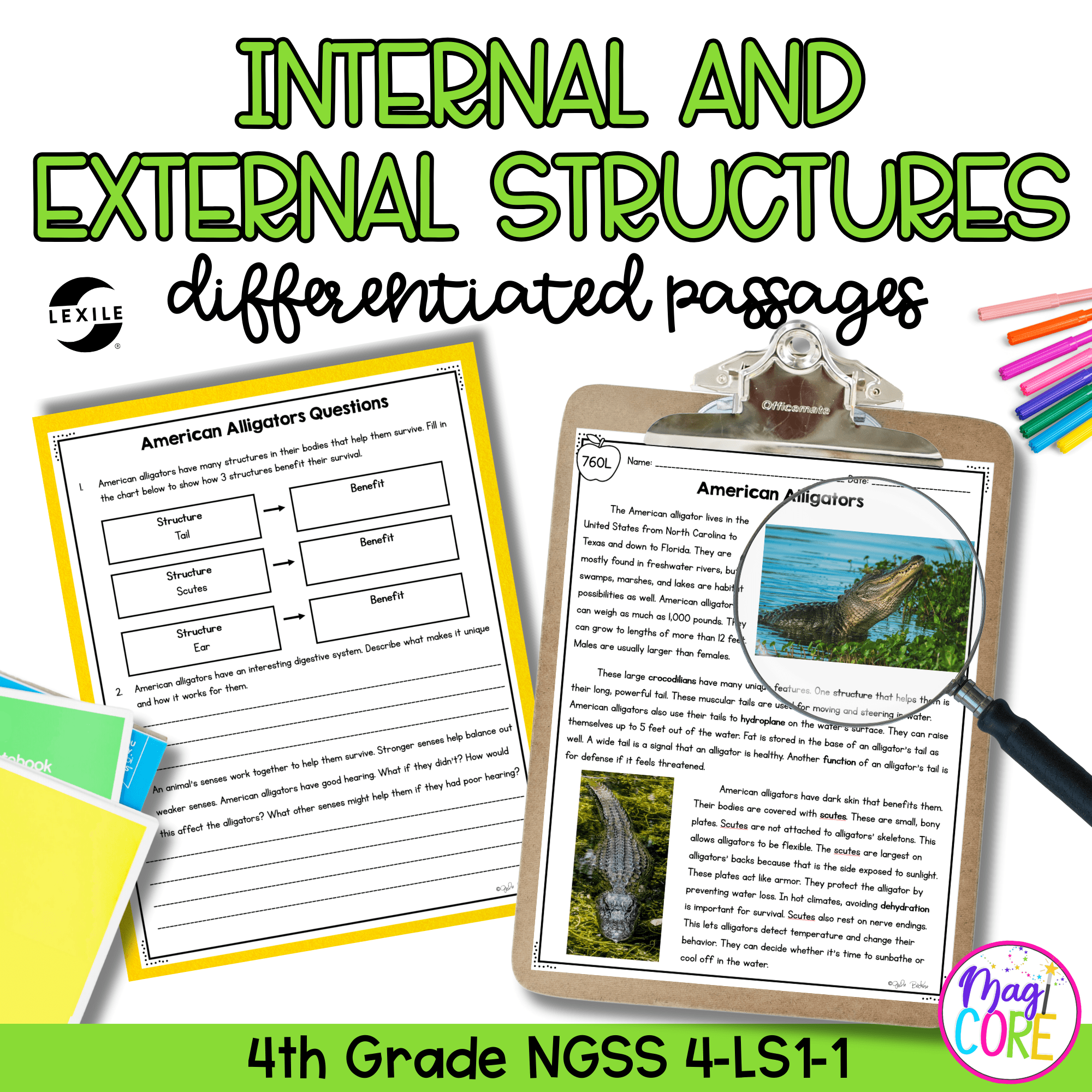 Structures & Senses Science Differentiated Passages BUNDLE - 4th Grade - Image 2