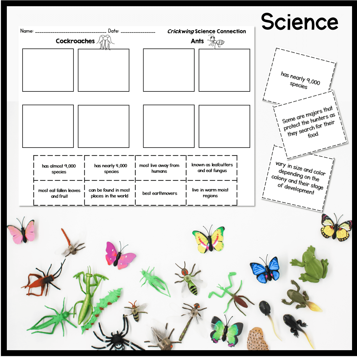 Crickwing Substitute Plans - 4th & 5th Grade - Image 2