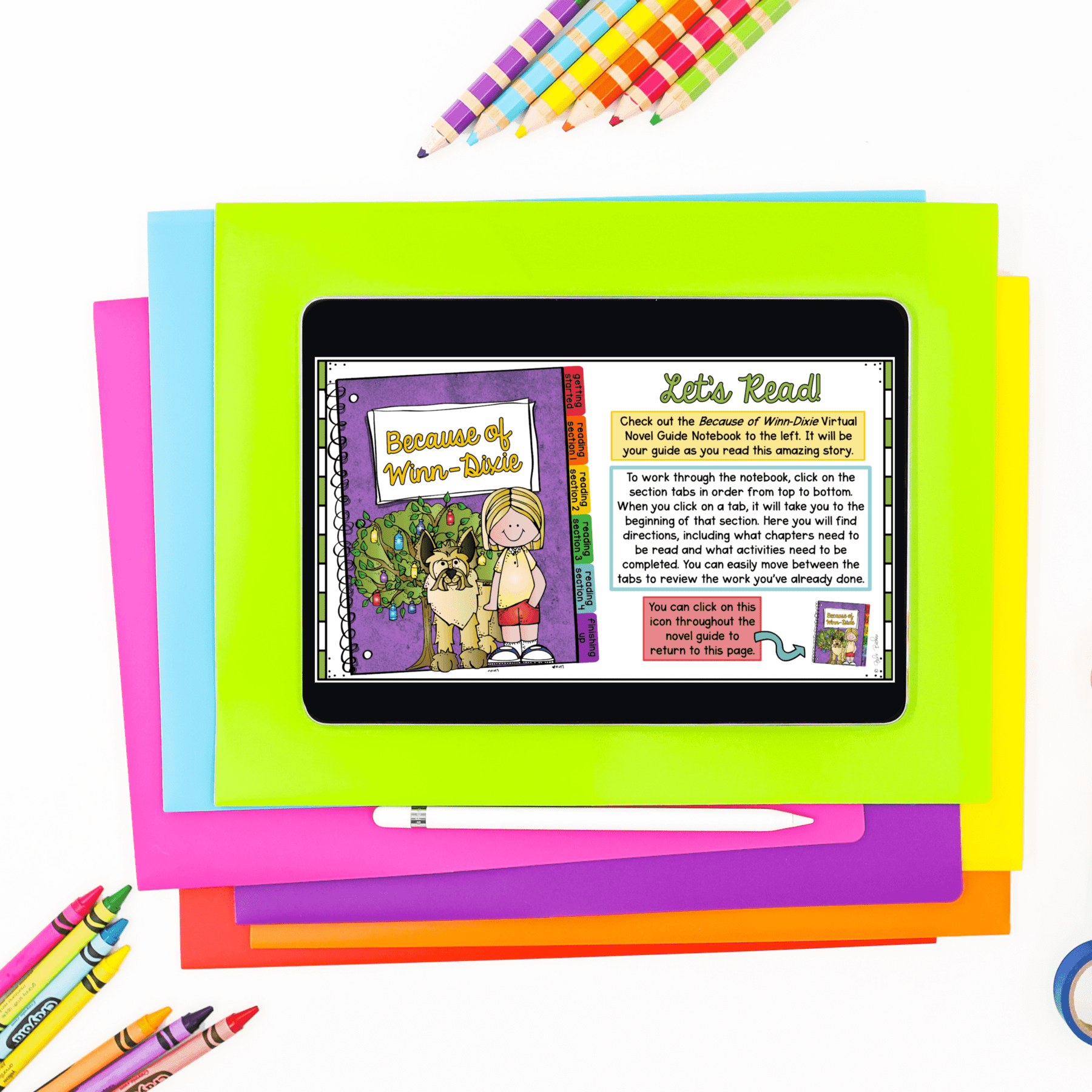 Because of Winn-Dixie Novel Study Reading Comprehension - Image 4