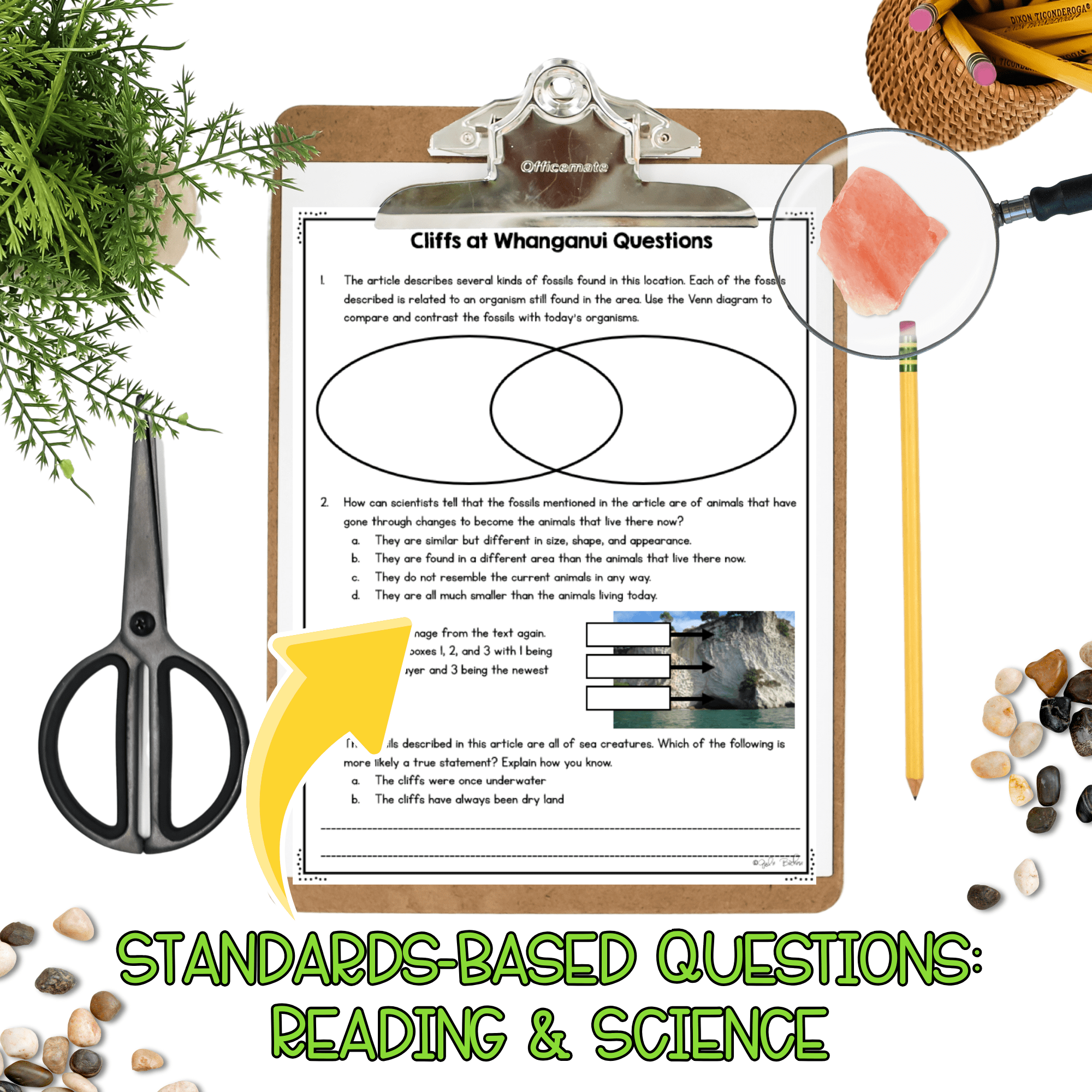 Rock Layers NGSS 4-ESS1-1 - Science Differentiated Passages - Image 3