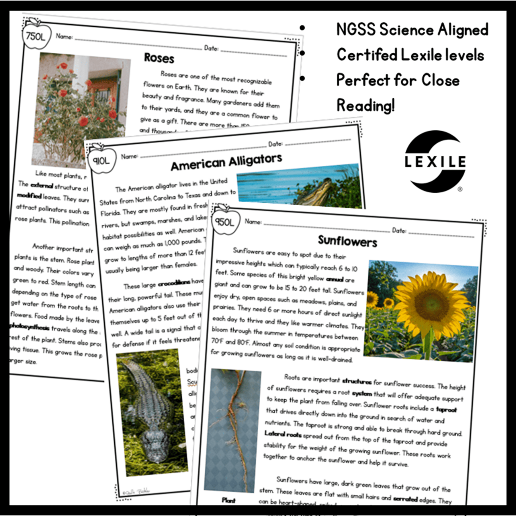 4th Grade NGSS Differentiated Science Passages GROWING Bundle - Image 4