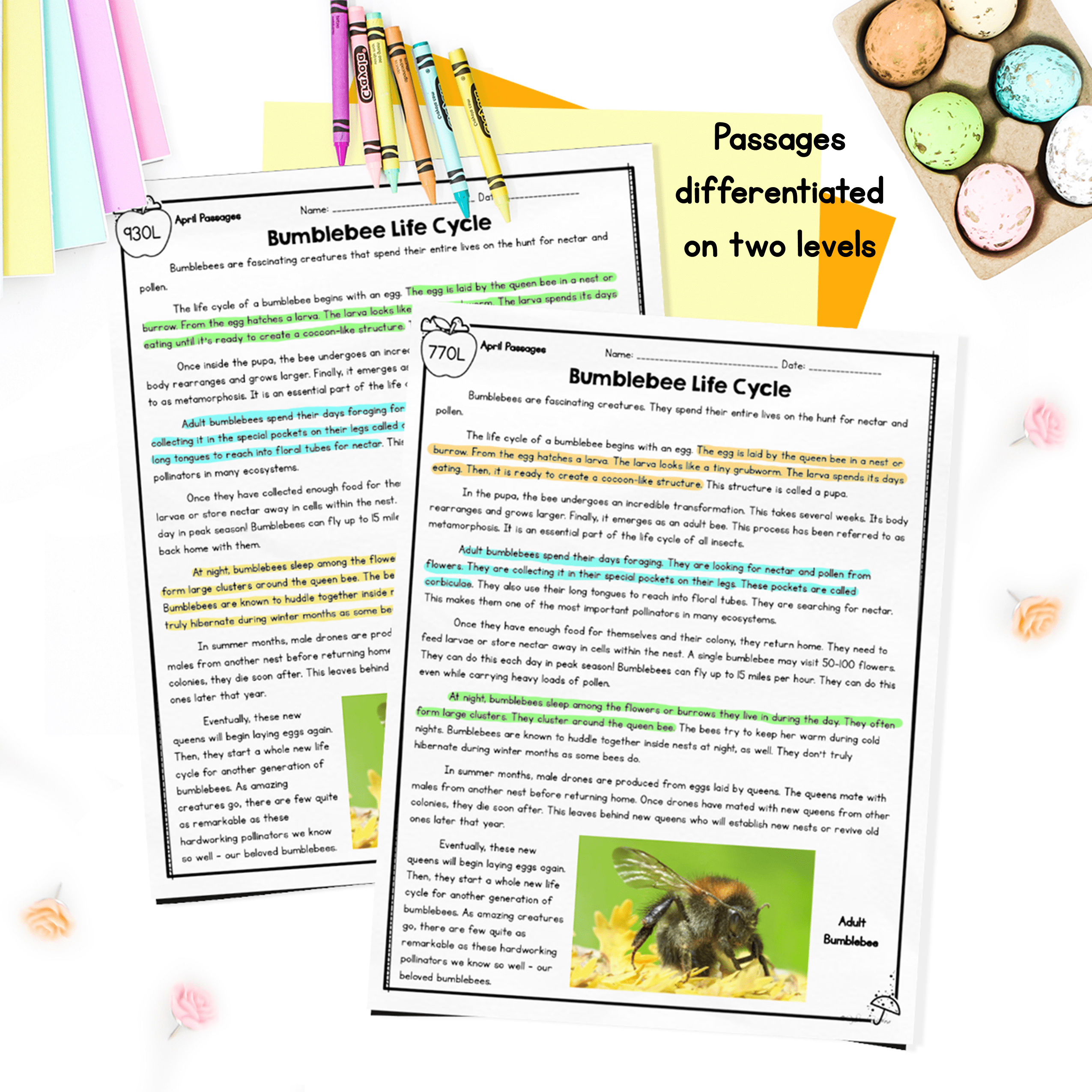 April Lexile Leveled Differentiated Reading Passages - 4th & 5th Grade - Image 2