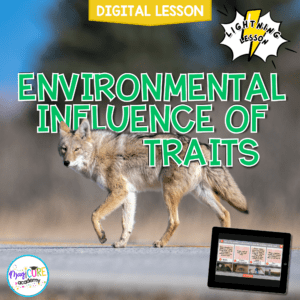 Environmental Influence of Traits Digital Science Lesson Activity Video 3rd Grade