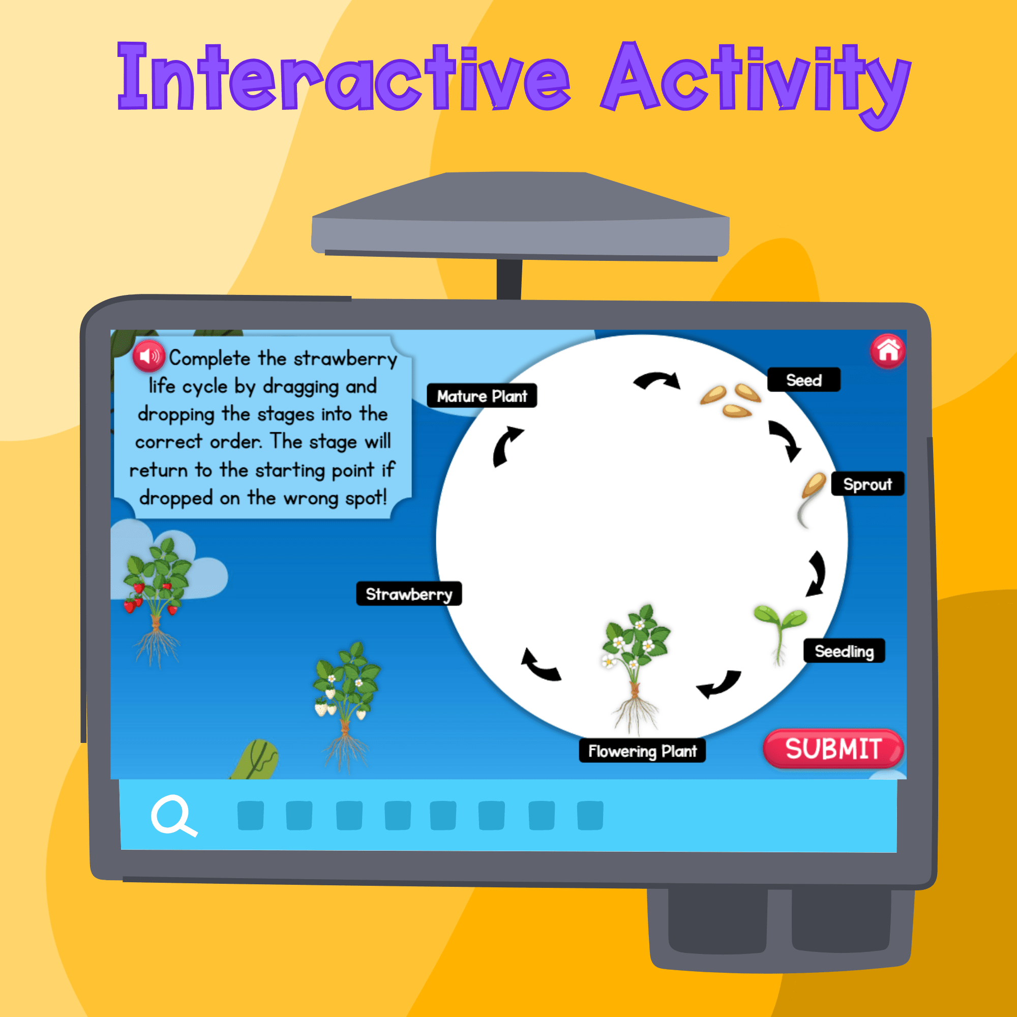 Life Cycles Digital Science Lesson Activity Test NGSS 3-LS1-1 - Image 3