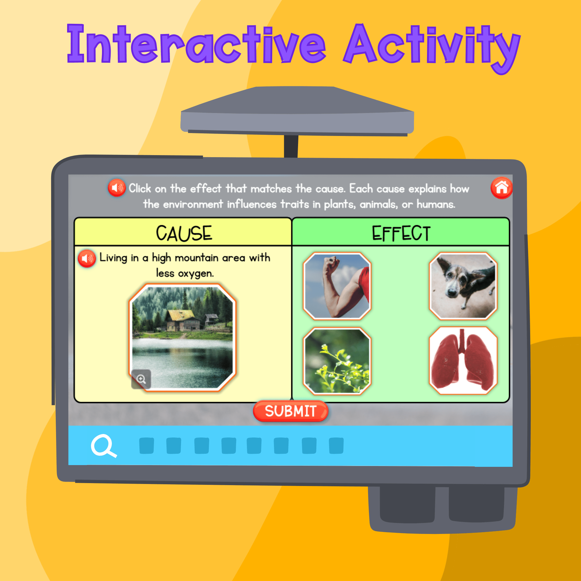 Environmental Influence of Traits Digital Science Lesson Activity Video 3rd Grade - Image 3