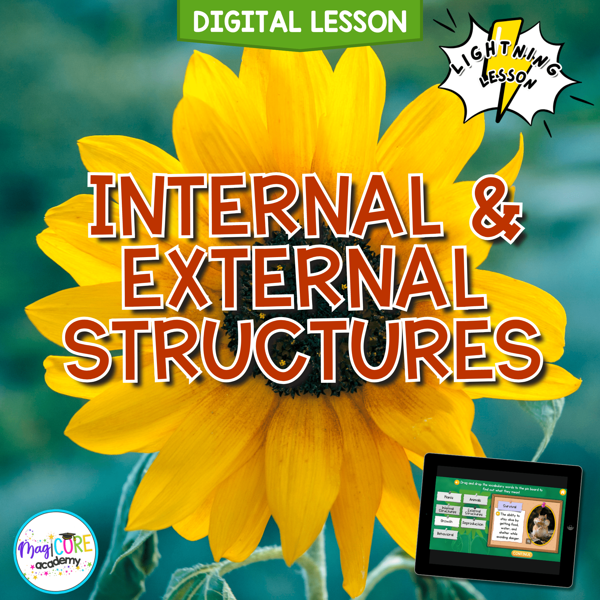 Internal & External Structures Digital Science Activity 4th Grade NGSS 4-LS1-1